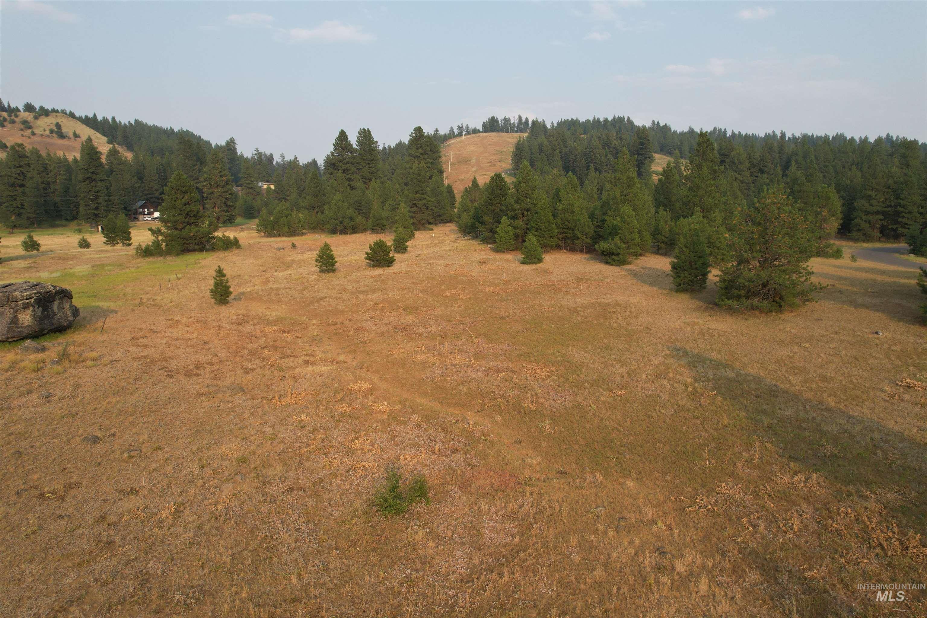 TBD Lot 15 Whitefield Lane, McCall, Idaho 83638, Land For Sale, Price $275,000, 98936562