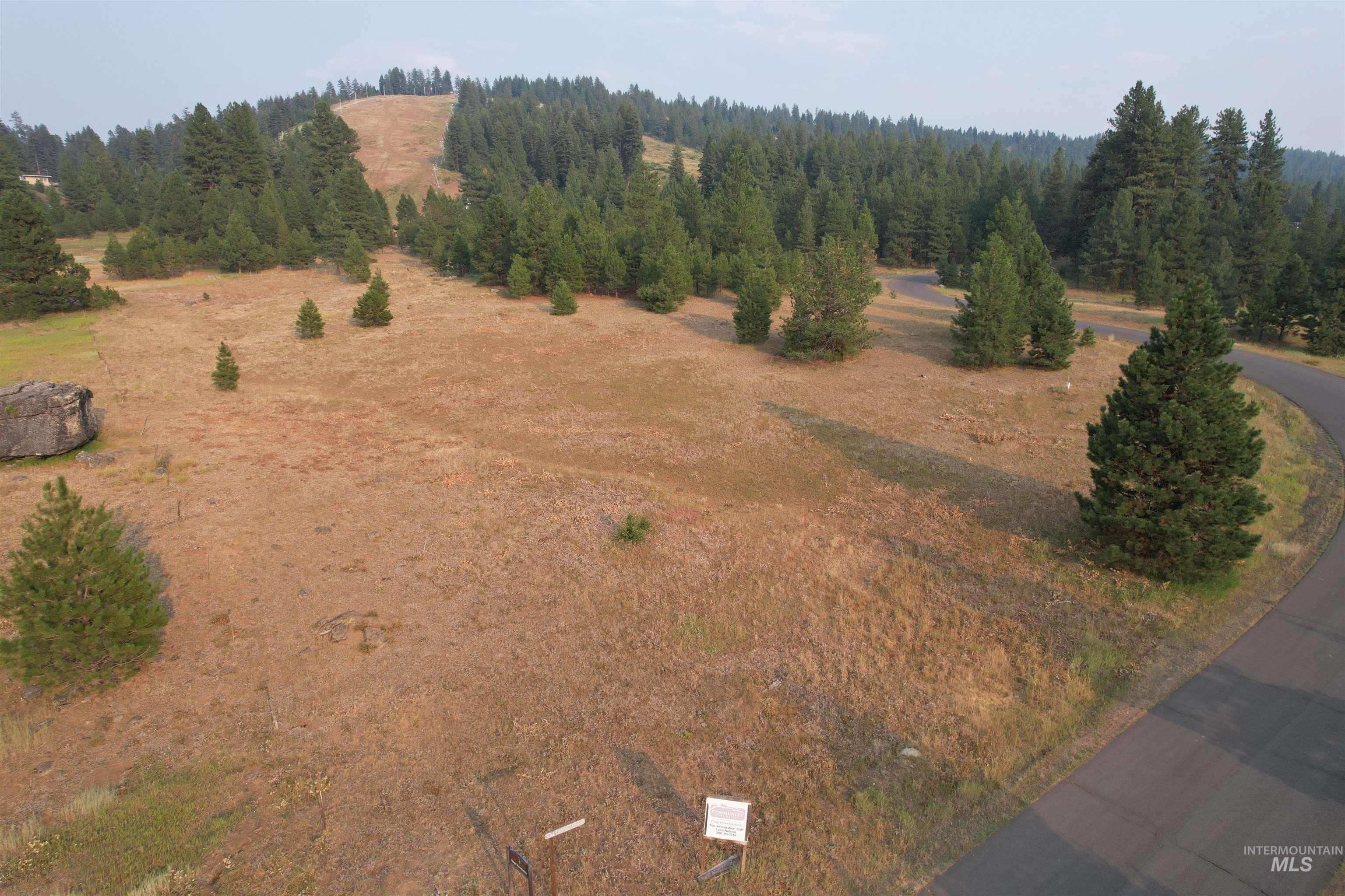 TBD Lot 15 Whitefield Lane, McCall, Idaho 83638, Land For Sale, Price $275,000, 98936562