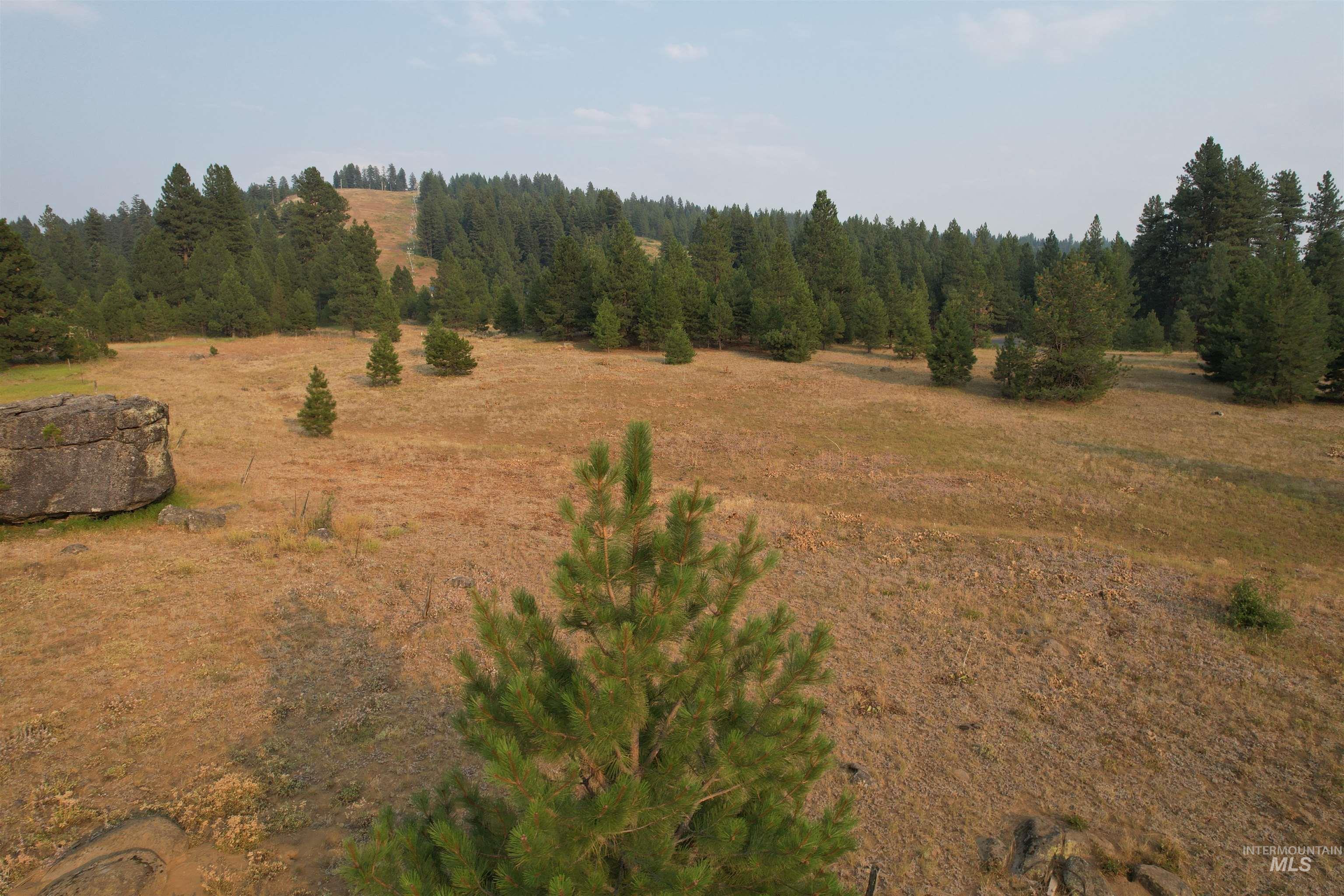 TBD Lot 15 Whitefield Lane, McCall, Idaho 83638, Land For Sale, Price $275,000, 98936562