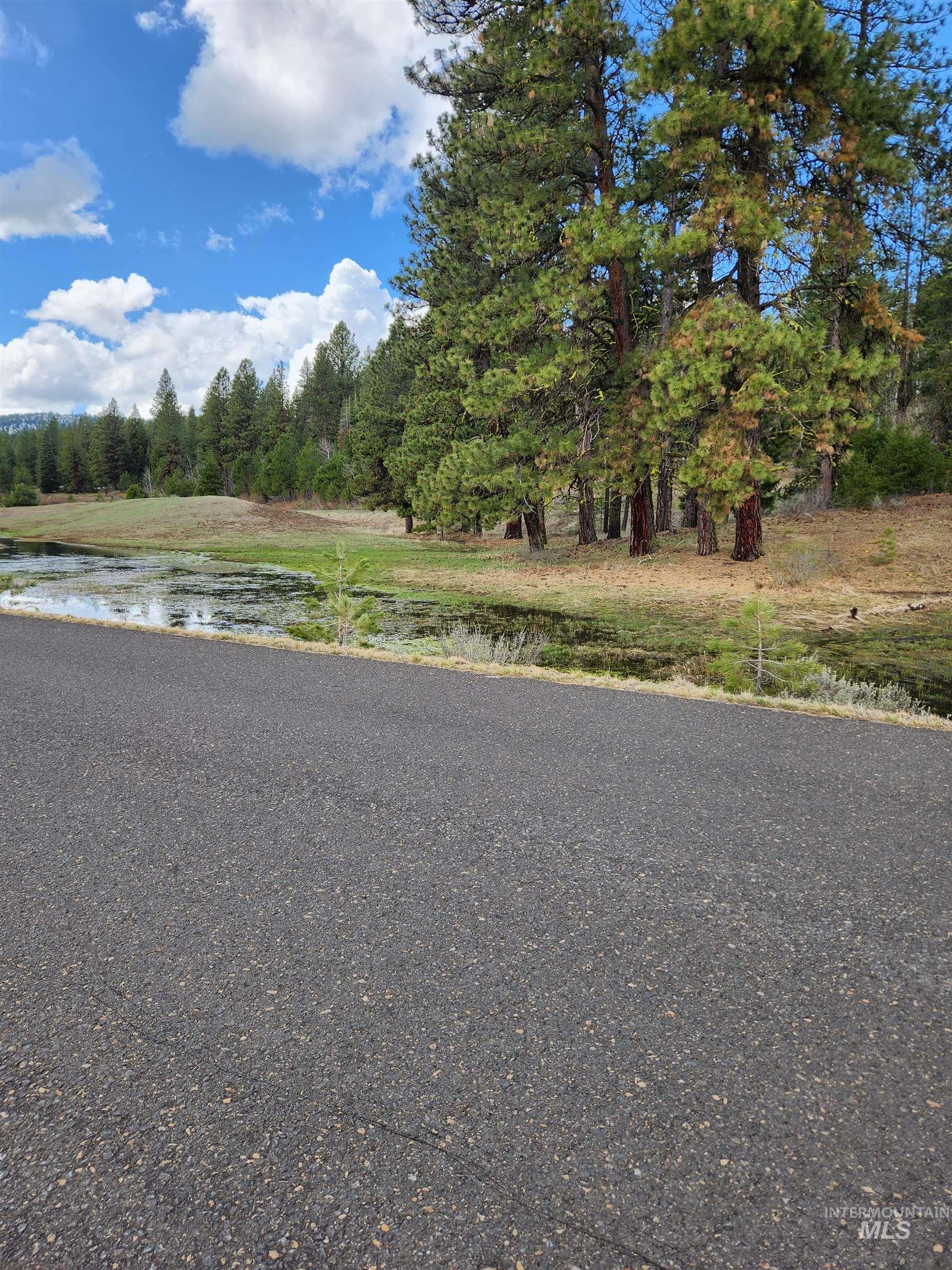 18 Arrowgrass Ct., McCall, Idaho 83638, Land For Sale, Price $220,000, 98936651