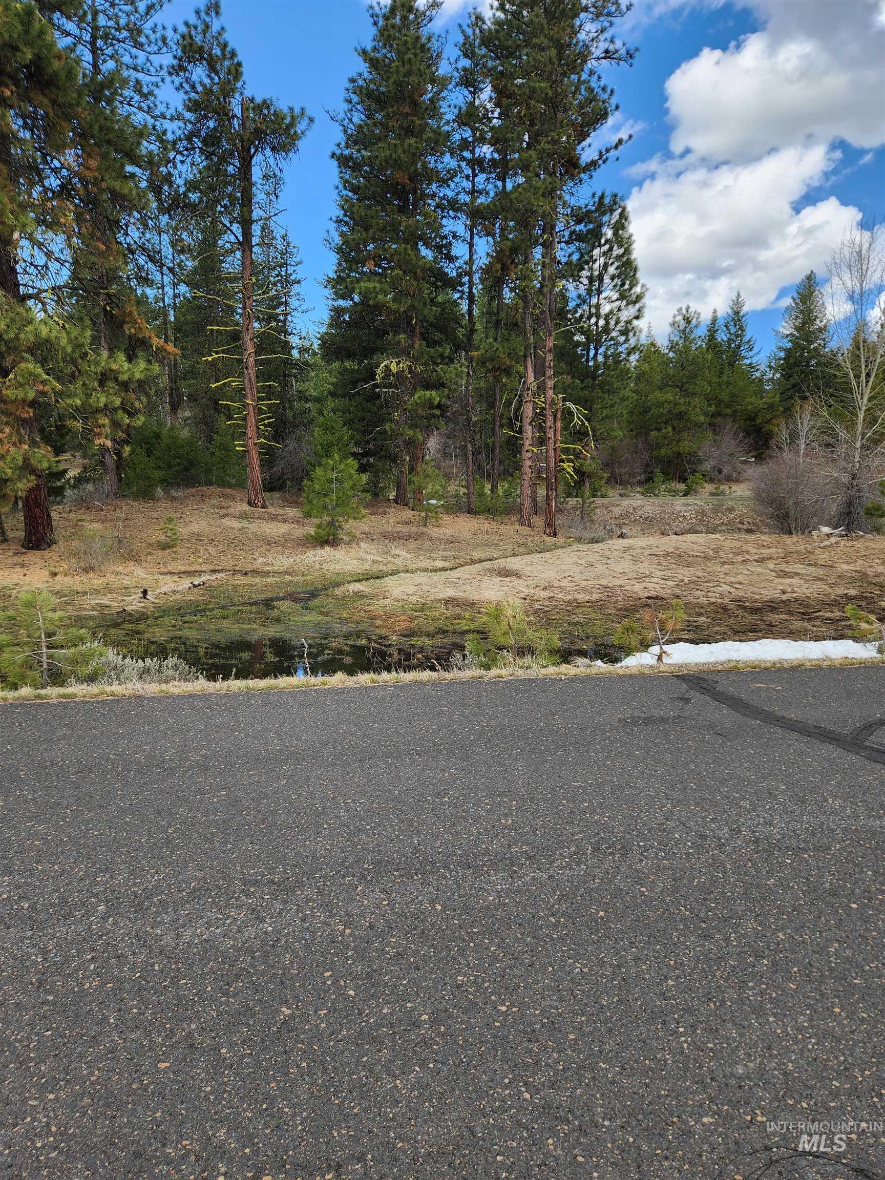 18 Arrowgrass Ct., McCall, Idaho 83638, Land For Sale, Price $220,000, 98936651
