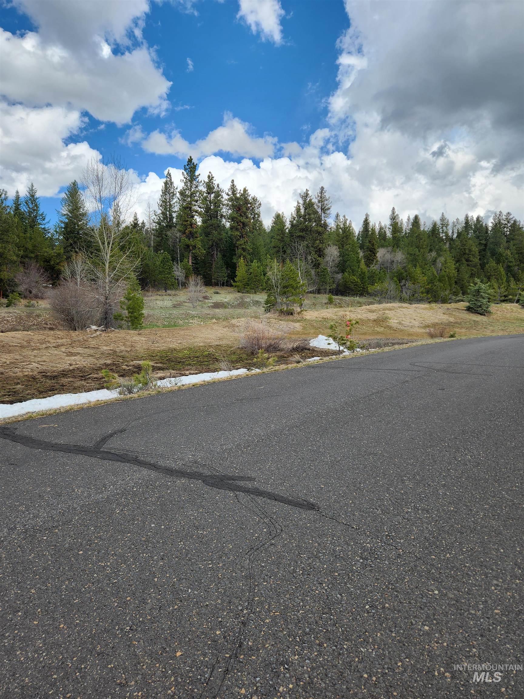 18 Arrowgrass Ct., McCall, Idaho 83638, Land For Sale, Price $220,000, 98936651
