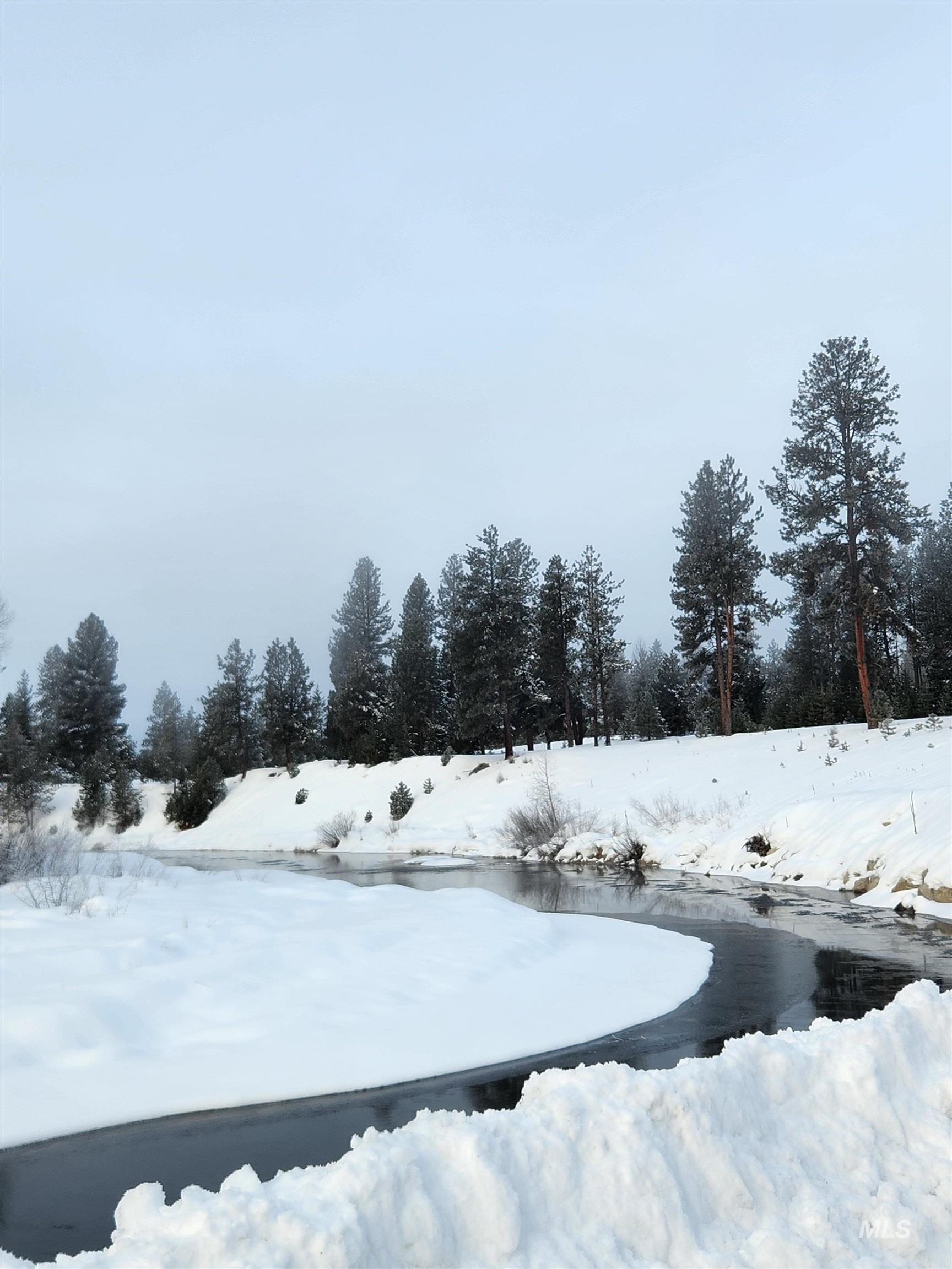 18 Arrowgrass Ct., McCall, Idaho 83638, Land For Sale, Price $220,000, 98936651