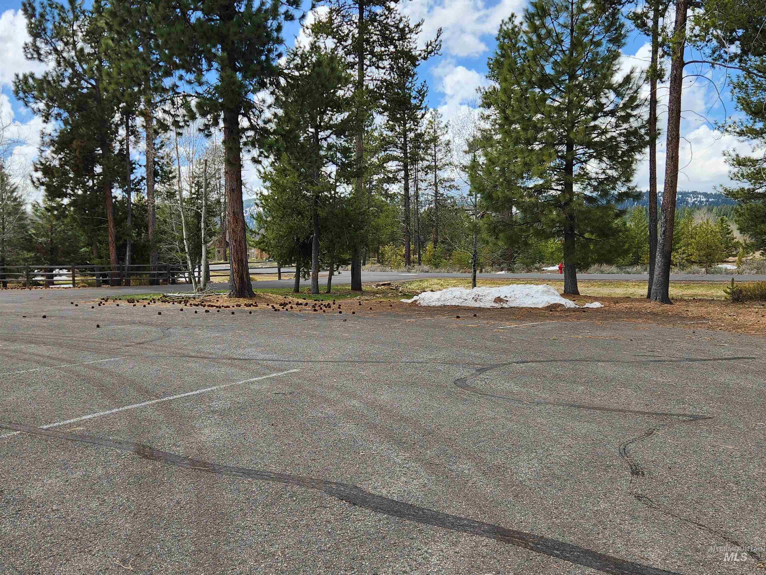 18 Arrowgrass Ct., McCall, Idaho 83638, Land For Sale, Price $220,000, 98936651