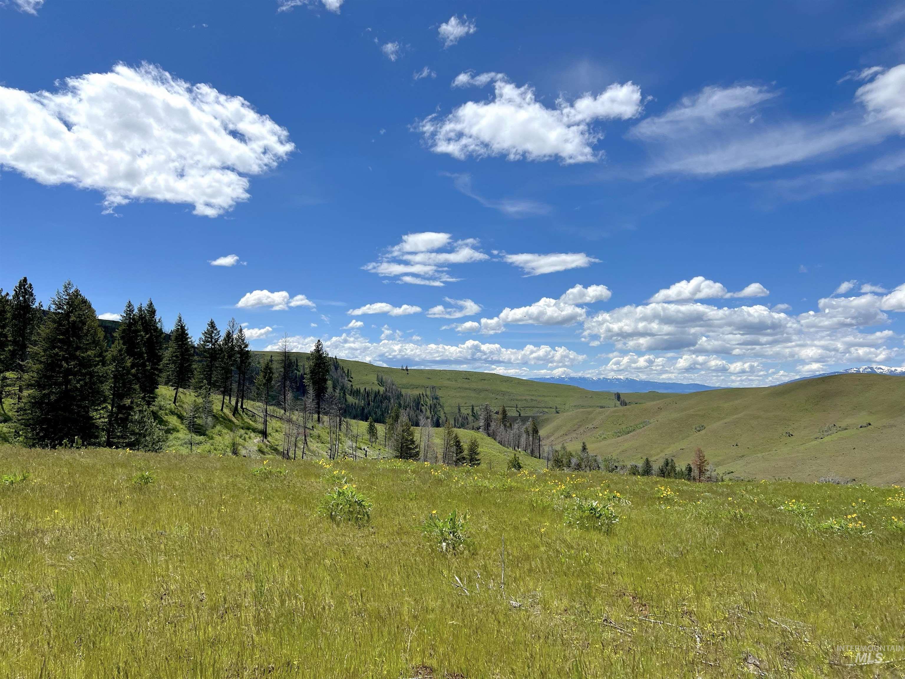 255 ac Fall Creek Rd, Council, Idaho 83612, Farm & Ranch For Sale, Price $625,000, 98938807