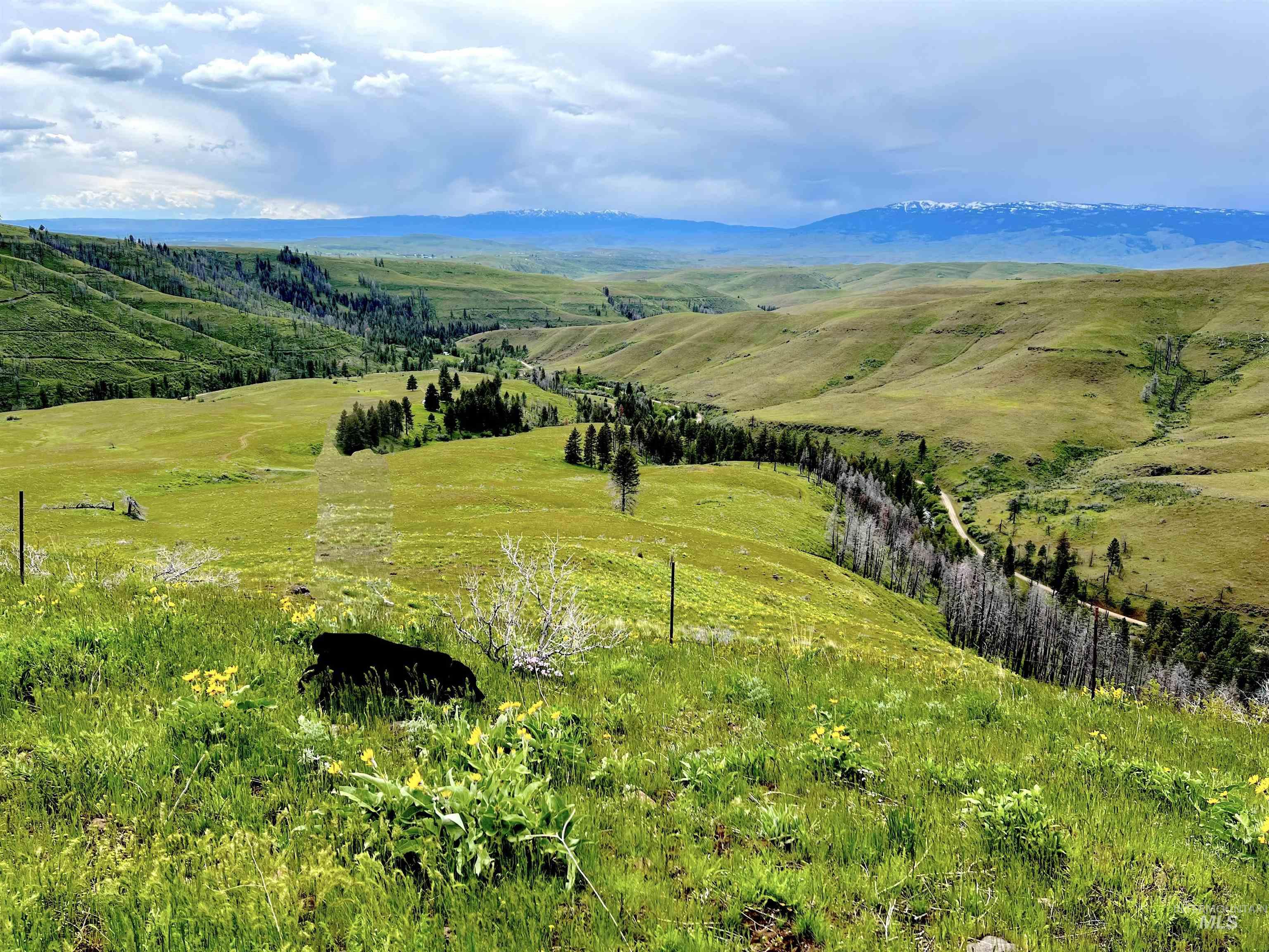 255 ac Fall Creek Rd, Council, Idaho 83612, Farm & Ranch For Sale, Price $625,000, 98938807