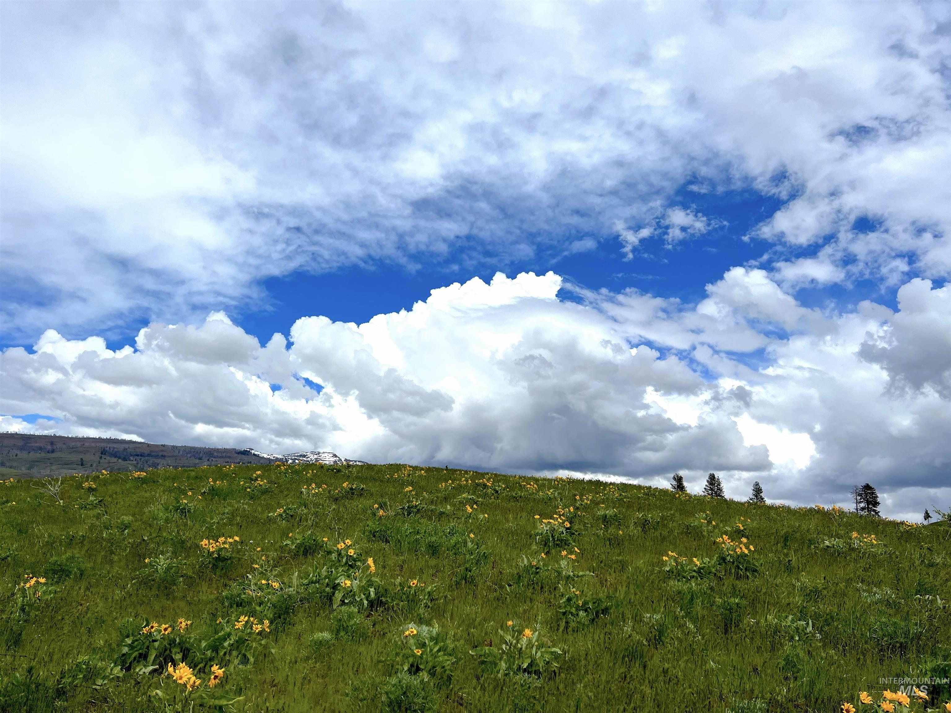 255 ac Fall Creek Rd, Council, Idaho 83612, Farm & Ranch For Sale, Price $625,000, 98938807