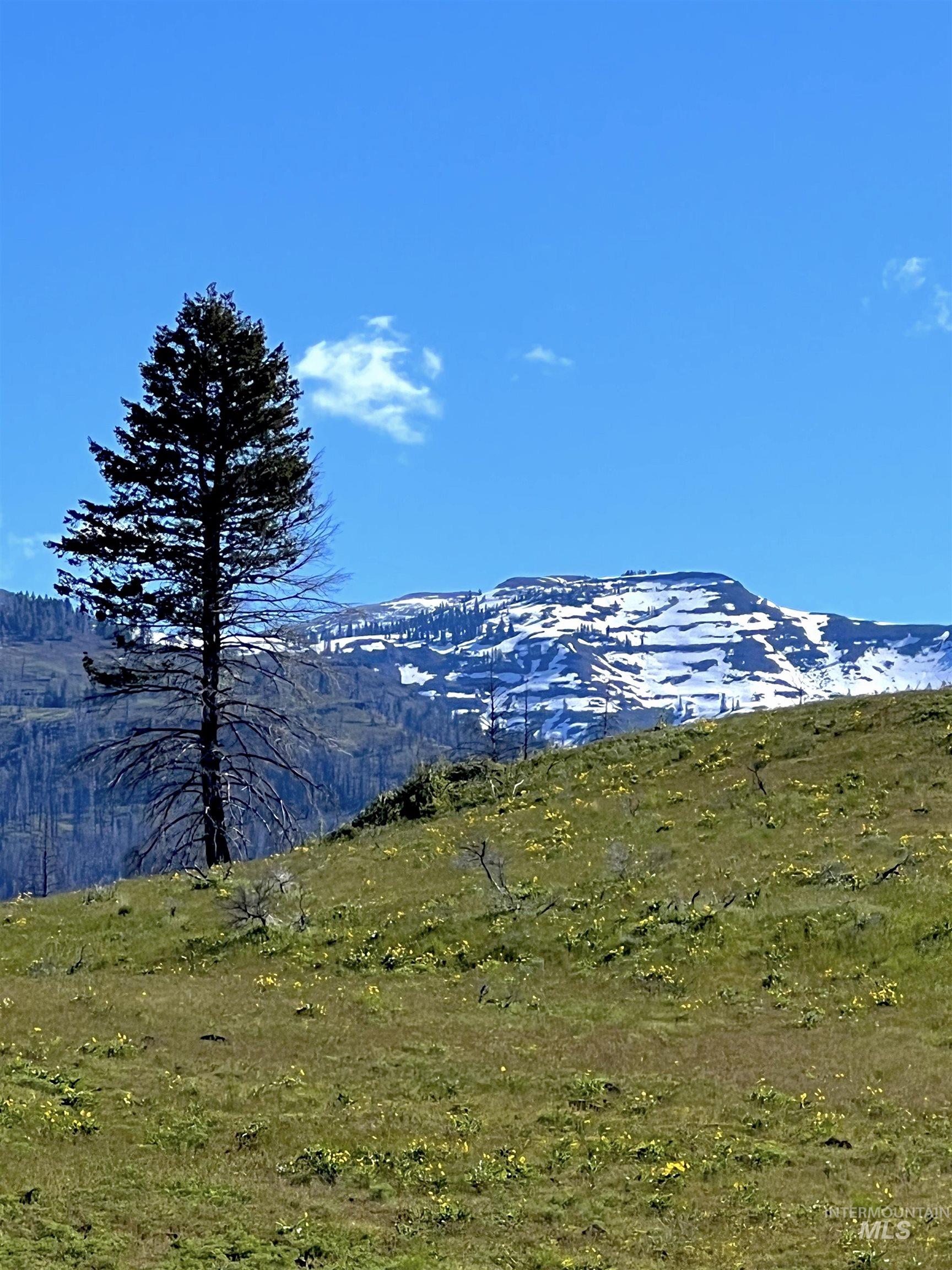255 ac Fall Creek Rd, Council, Idaho 83612, Farm & Ranch For Sale, Price $625,000, 98938807