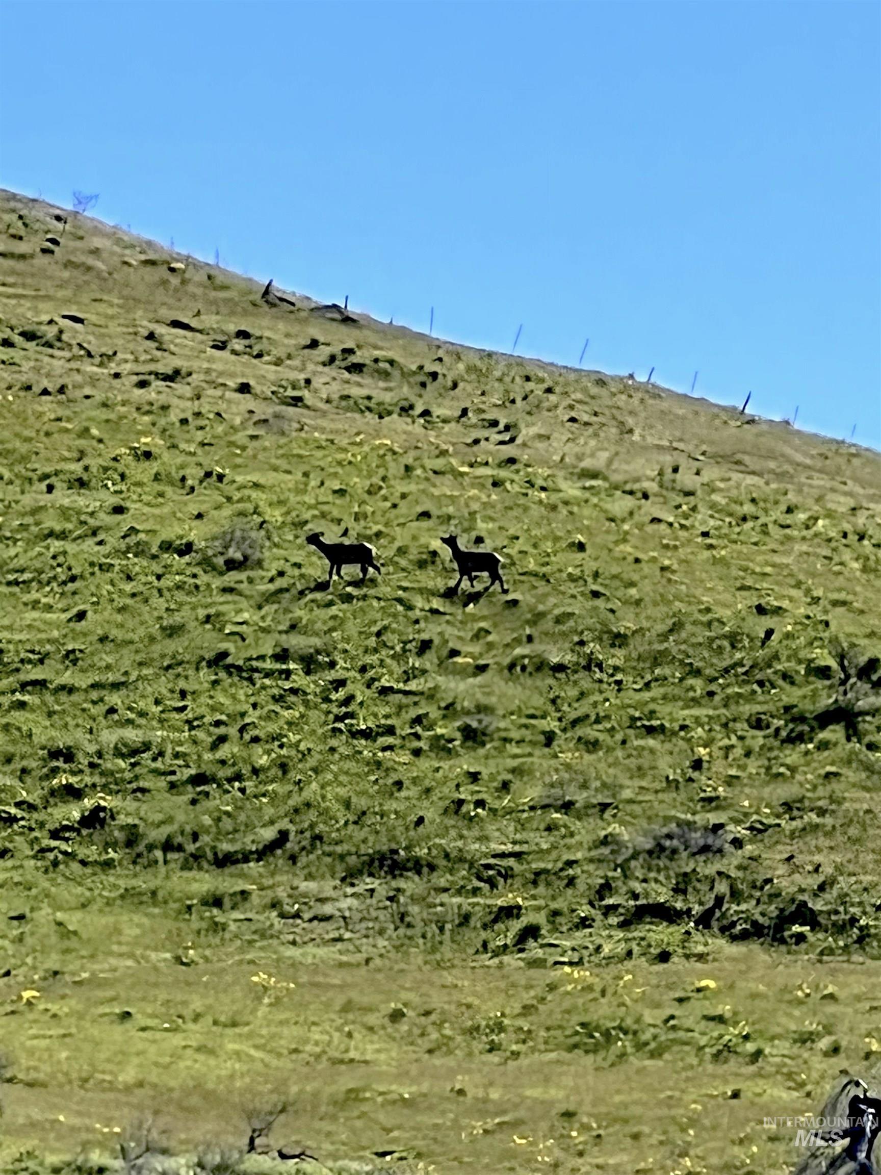 255 ac Fall Creek Rd, Council, Idaho 83612, Farm & Ranch For Sale, Price $625,000, 98938807