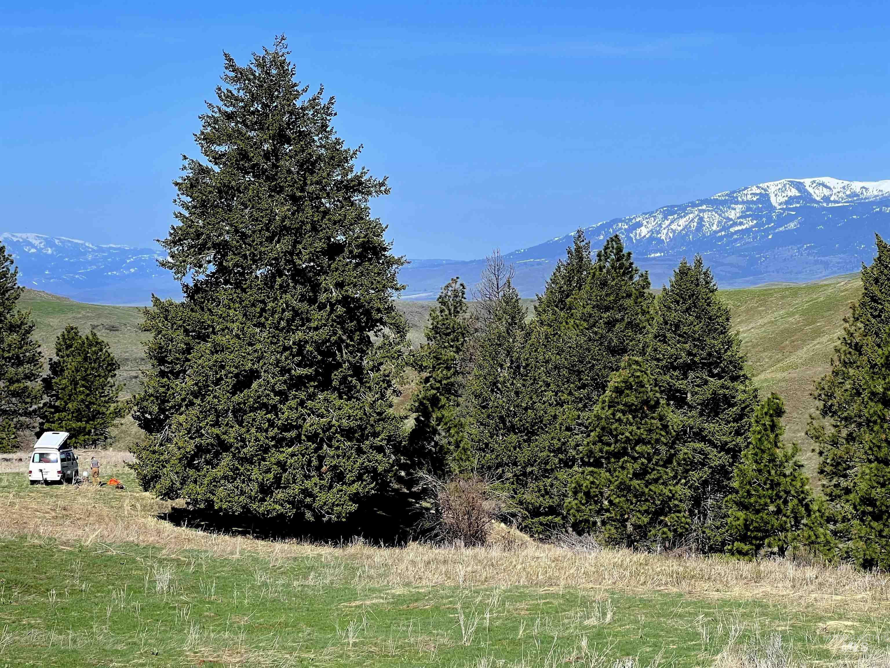 255 ac Fall Creek Rd, Council, Idaho 83612, Farm & Ranch For Sale, Price $625,000, 98938807