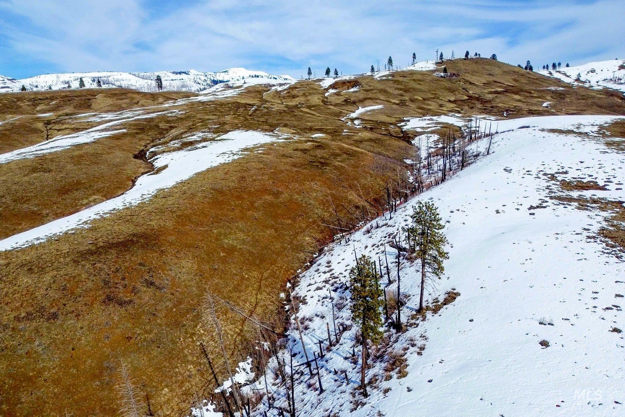 255 ac Fall Creek Rd, Council, Idaho 83612, Farm & Ranch For Sale, Price $625,000, 98938807