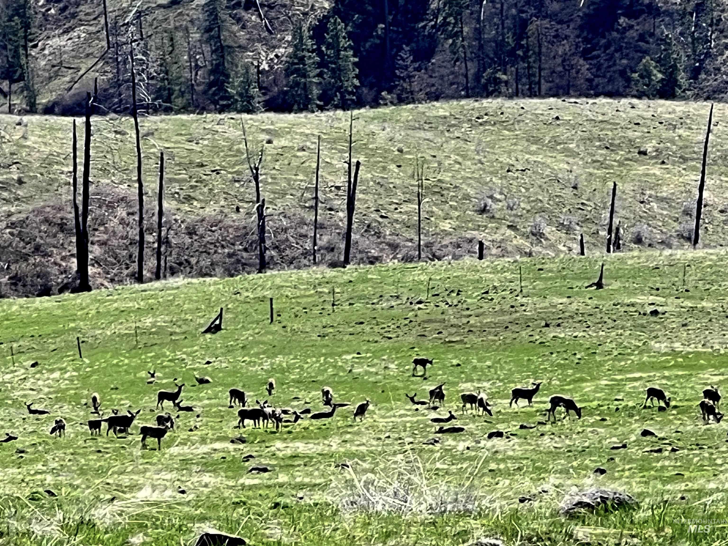 255 ac Fall Creek Rd, Council, Idaho 83612, Farm & Ranch For Sale, Price $625,000, 98938807