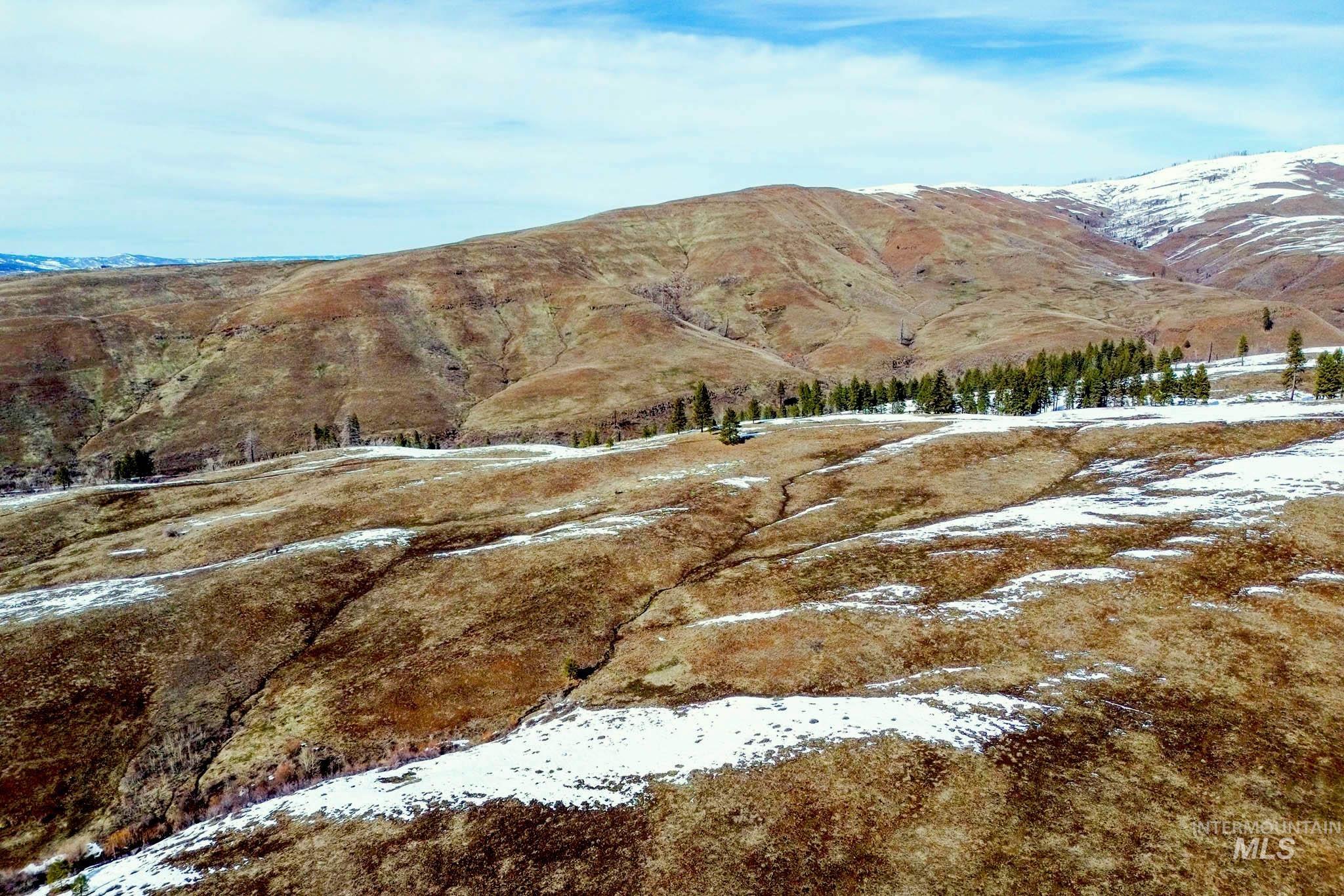 255 ac Fall Creek Rd, Council, Idaho 83612, Farm & Ranch For Sale, Price $625,000, 98938807