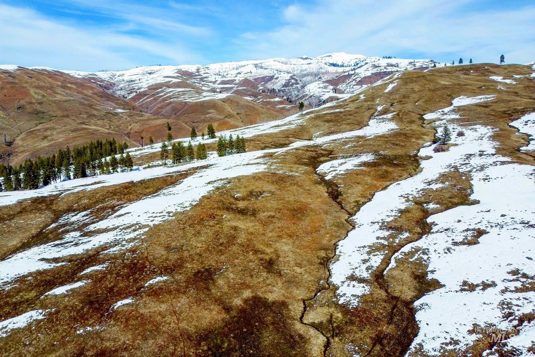 255 ac Fall Creek Rd, Council, Idaho 83612, Farm & Ranch For Sale, Price $625,000, 98938807