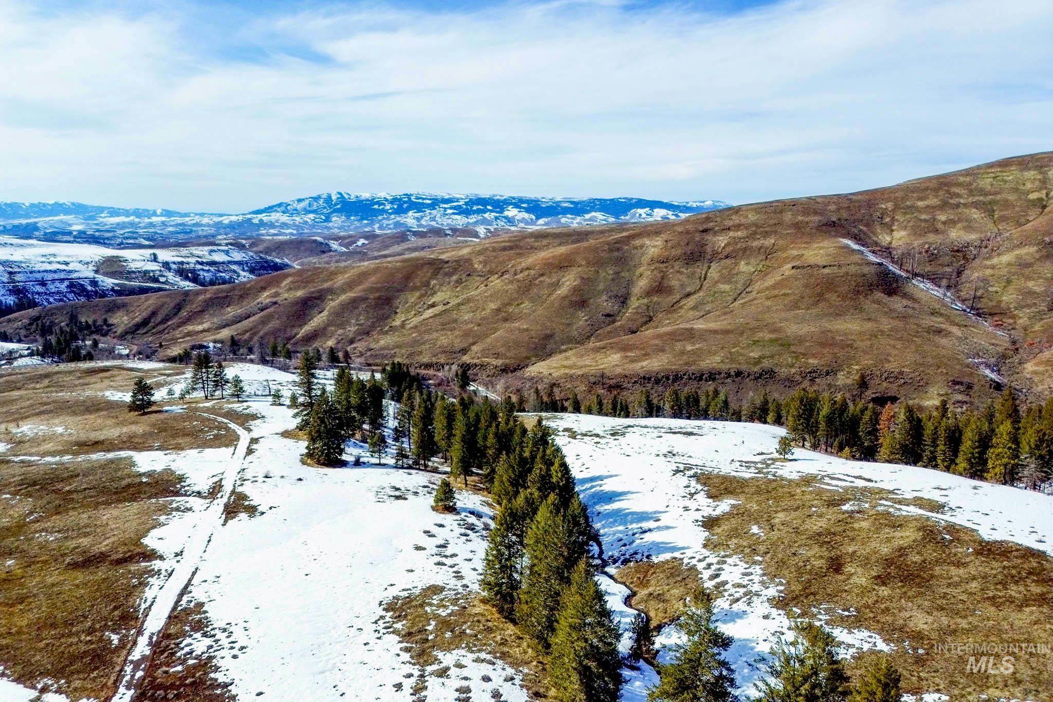 255 ac Fall Creek Rd, Council, Idaho 83612, Farm & Ranch For Sale, Price $625,000, 98938807