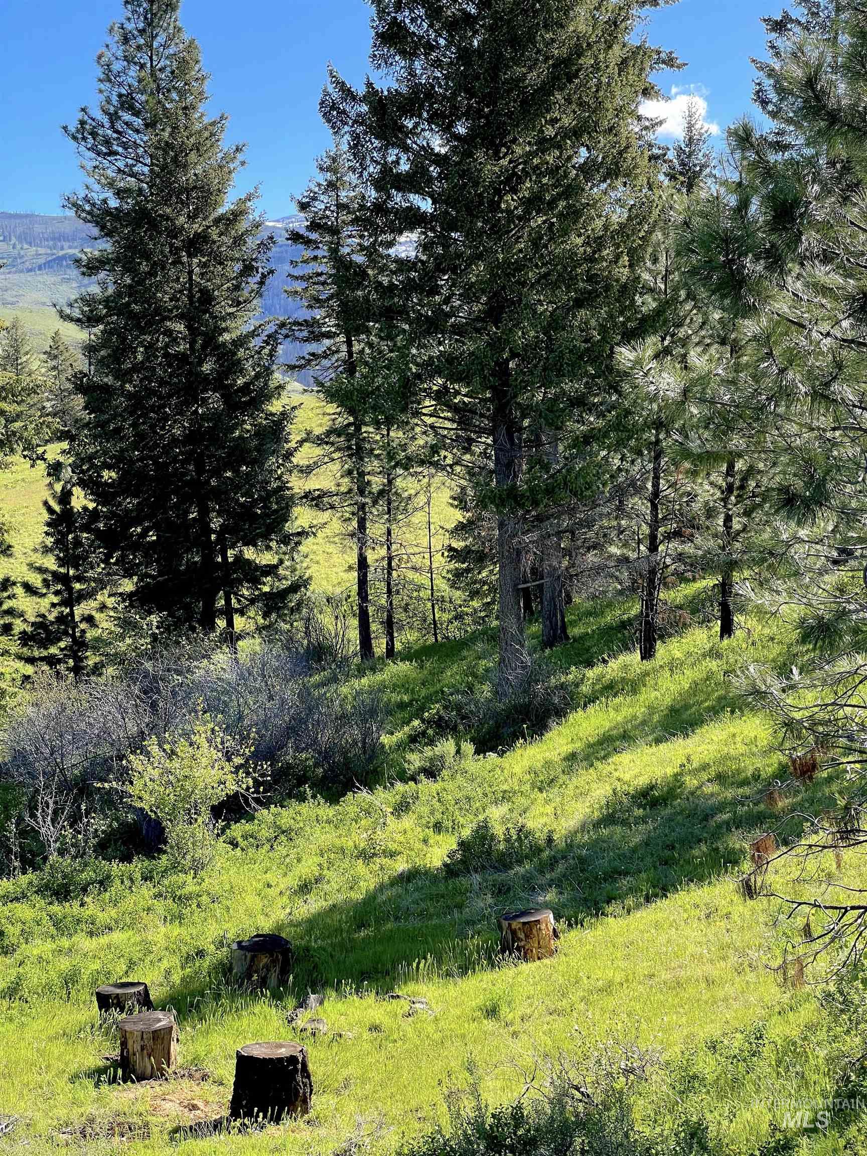 255 ac Fall Creek Rd, Council, Idaho 83612, Farm & Ranch For Sale, Price $625,000, 98938807