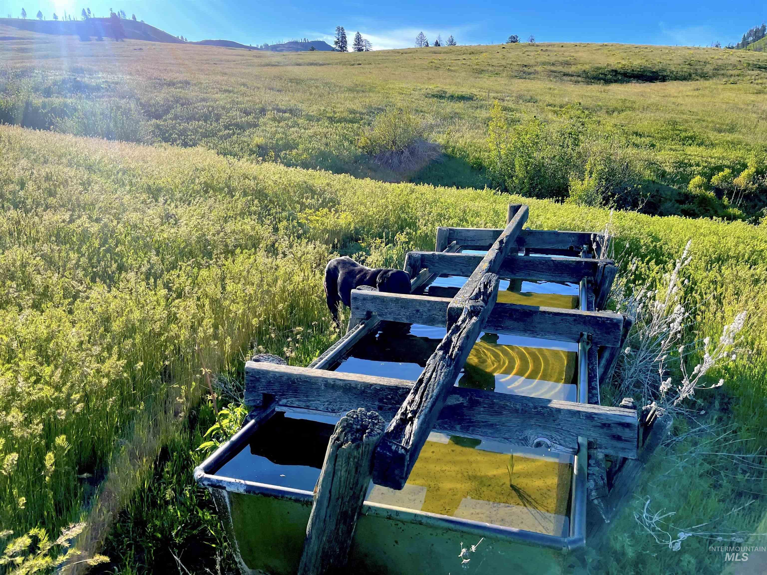 255 ac Fall Creek Rd, Council, Idaho 83612, Farm & Ranch For Sale, Price $625,000, 98938807