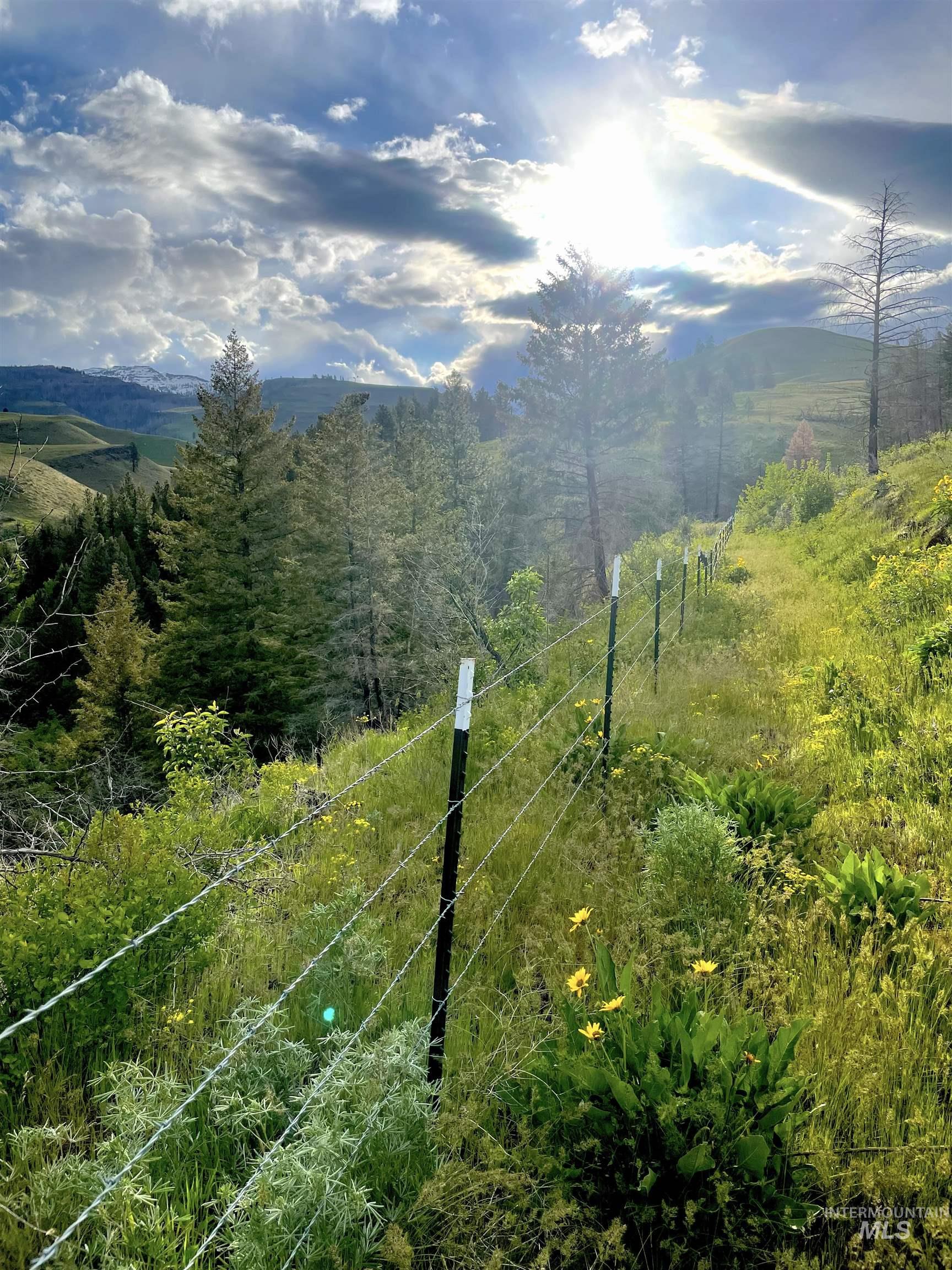 255 ac Fall Creek Rd, Council, Idaho 83612, Farm & Ranch For Sale, Price $625,000, 98938807
