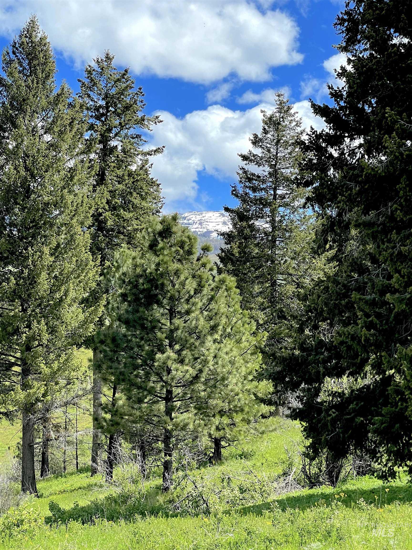 255 ac Fall Creek Rd, Council, Idaho 83612, Farm & Ranch For Sale, Price $625,000, 98938807