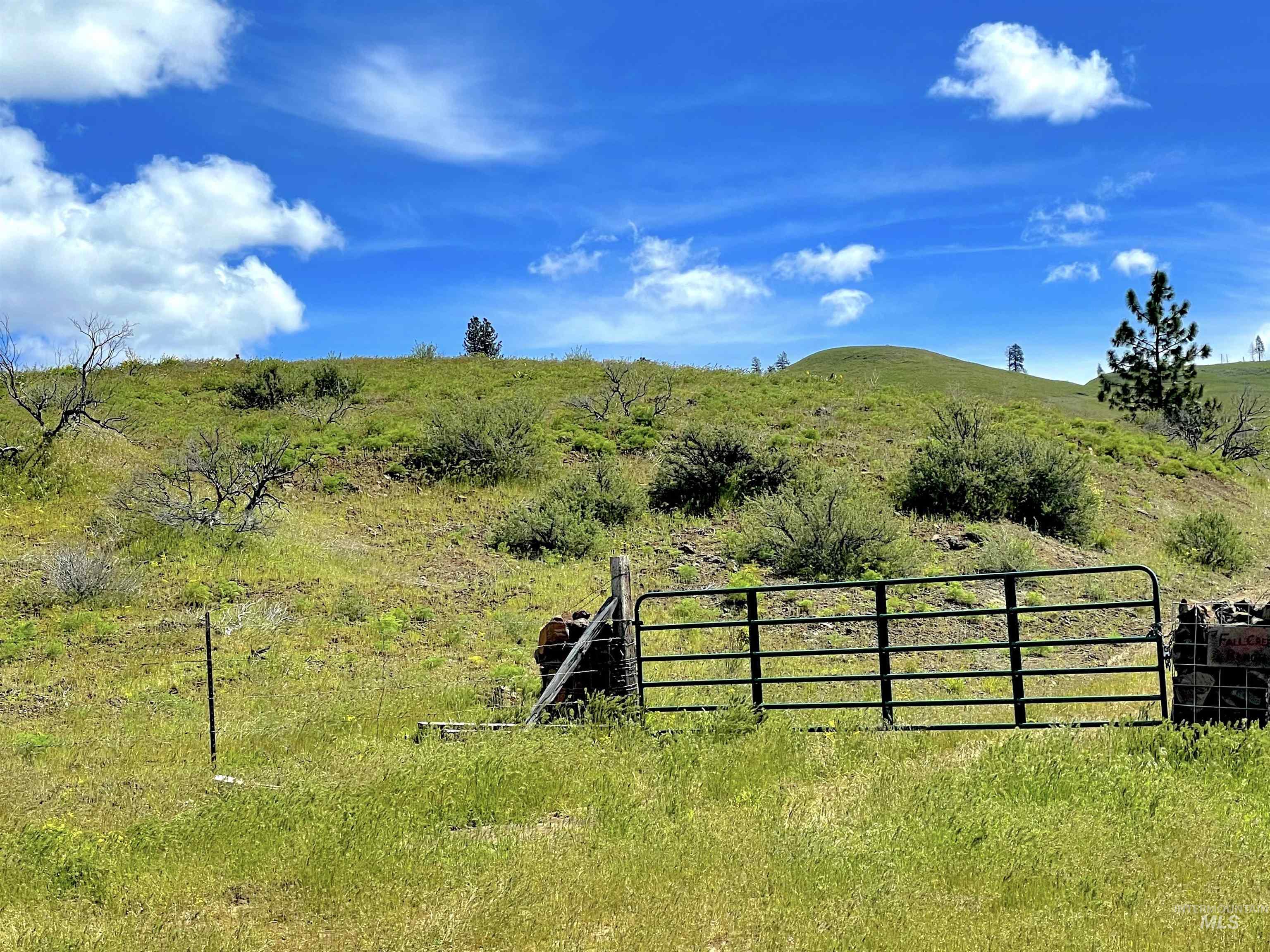 255 ac Fall Creek Rd, Council, Idaho 83612, Farm & Ranch For Sale, Price $625,000, 98938807
