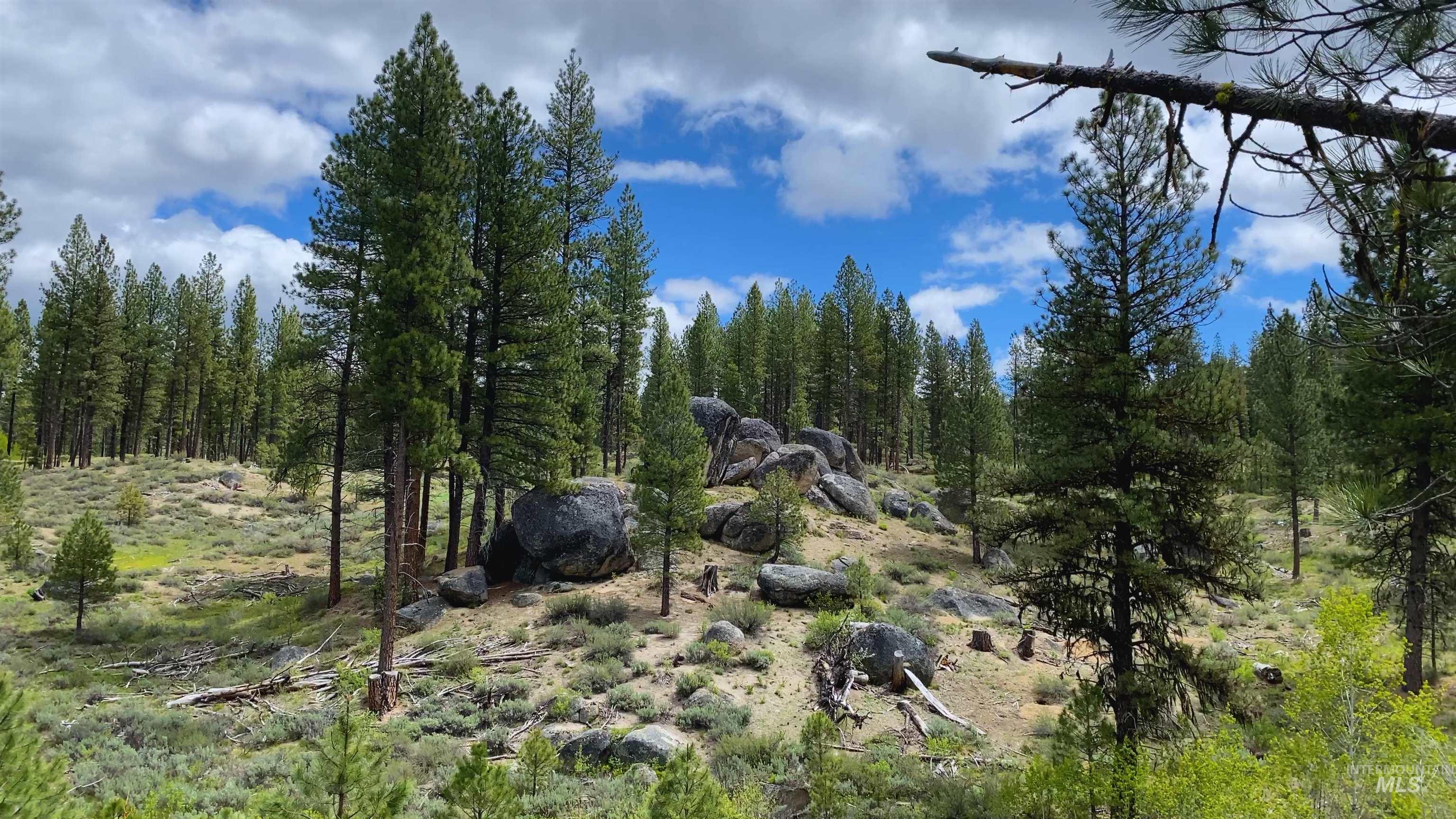 TBD1 Harris Creek Rd, Idaho City, Idaho 83631, Farm & Ranch For Sale, Price $4,980,000, 98939962