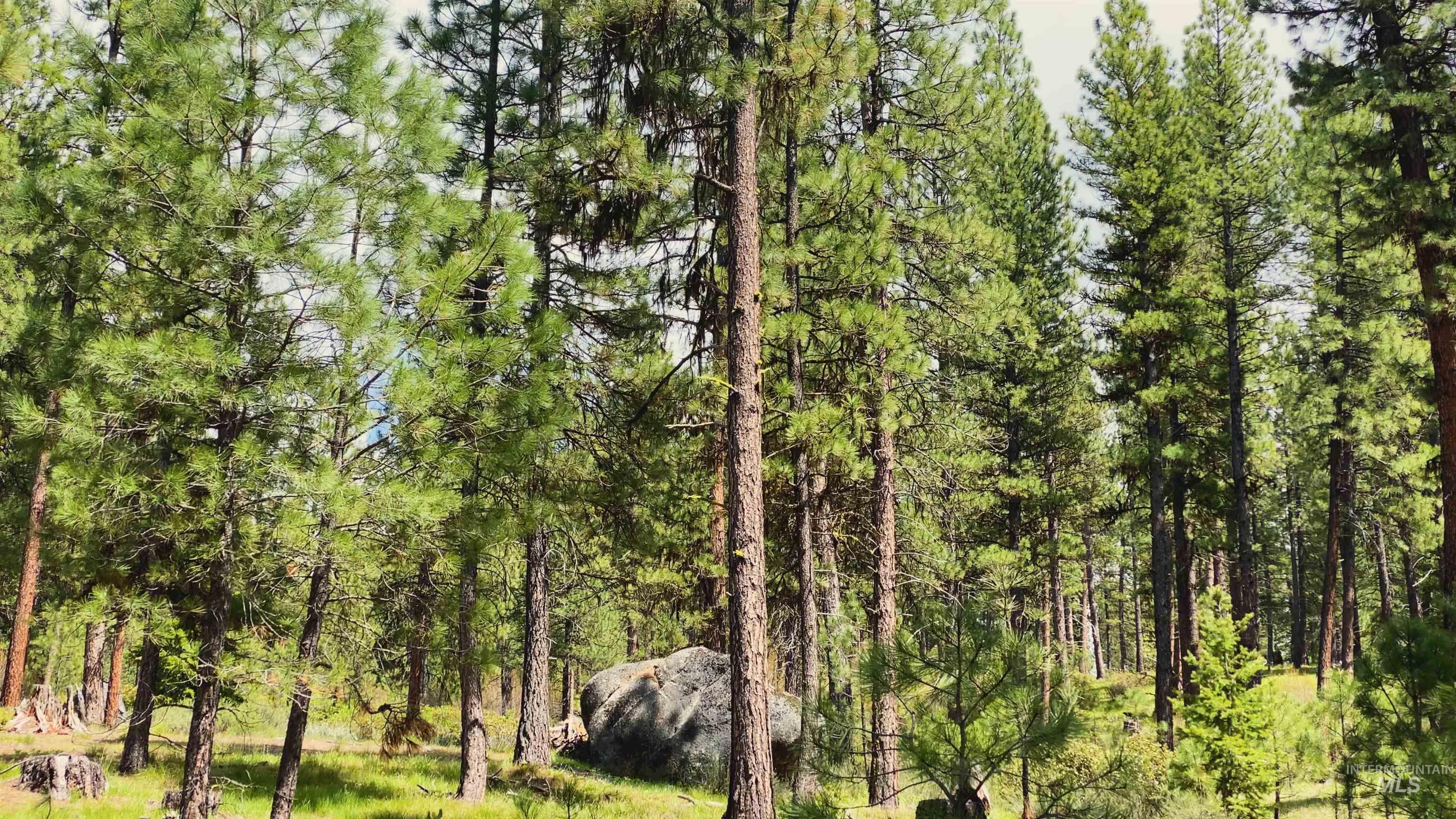 TBD1 Harris Creek Rd, Idaho City, Idaho 83631, Farm & Ranch For Sale, Price $4,980,000, 98939962