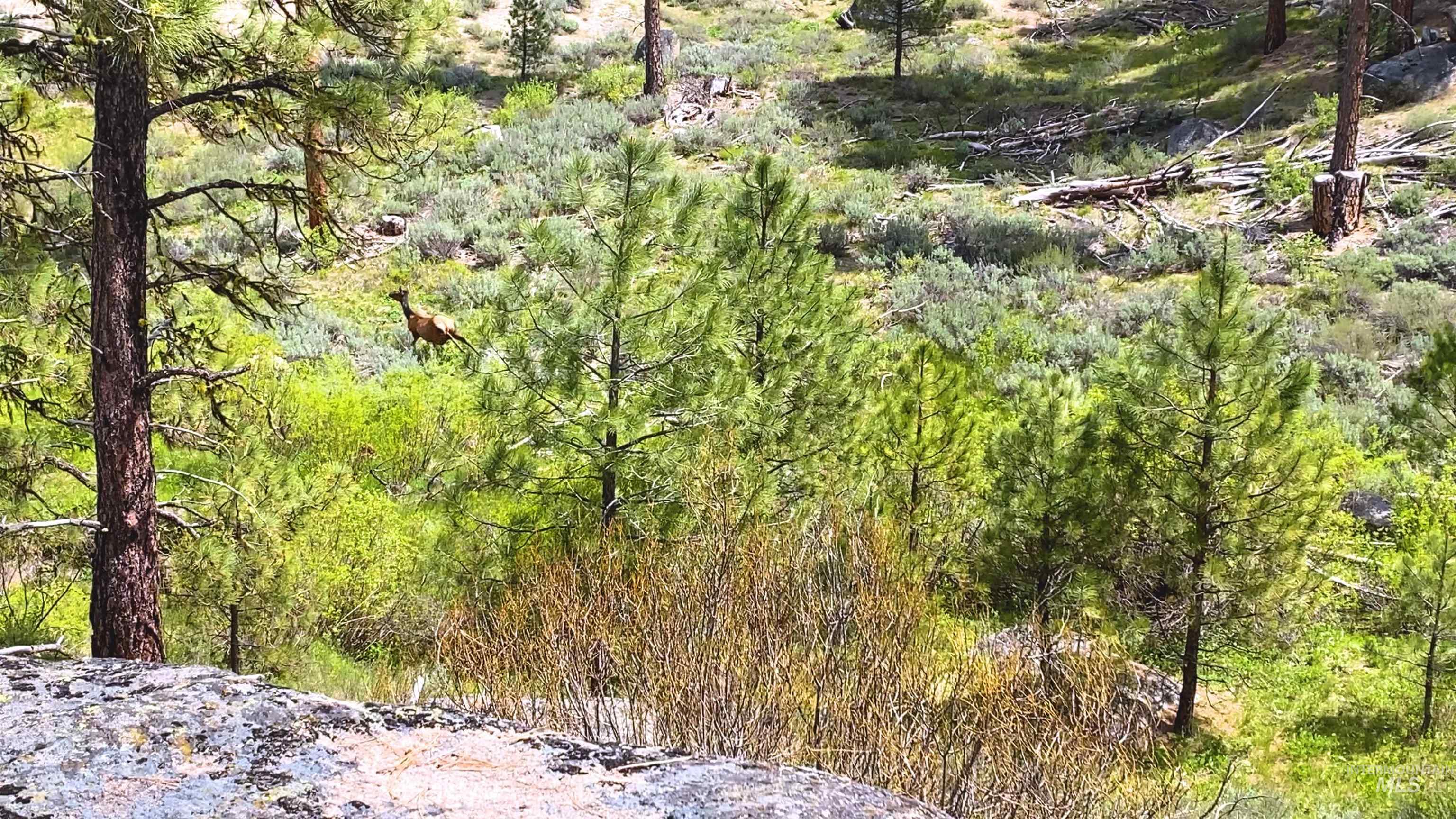 TBD1 Harris Creek Rd, Idaho City, Idaho 83631, Farm & Ranch For Sale, Price $4,980,000, 98939962