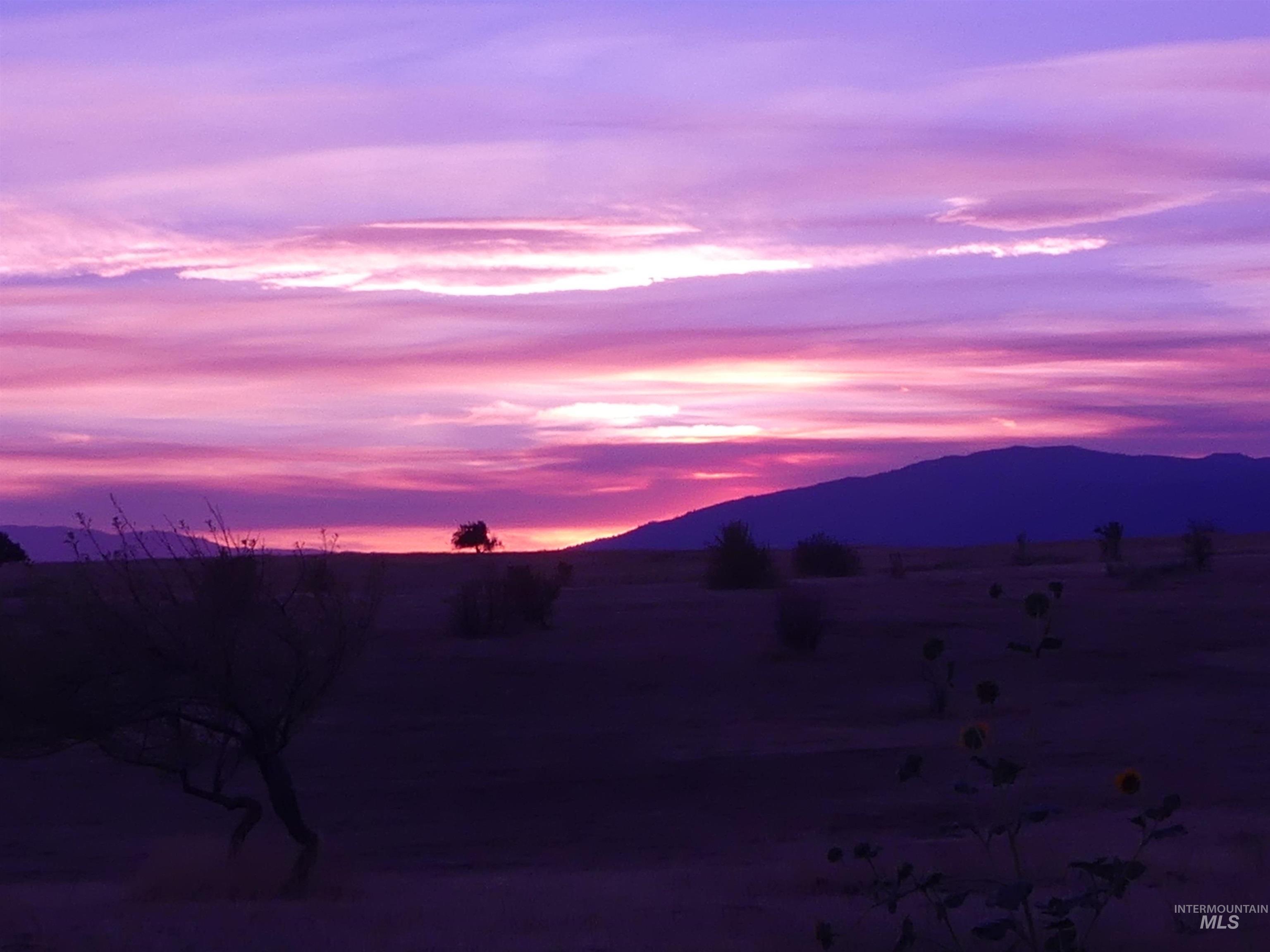 2193 Apple Lane, Mesa, Idaho 83643-5009, 2 Bedrooms, 2.5 Bathrooms, Farm & Ranch For Sale, Price $770,000, 98940047