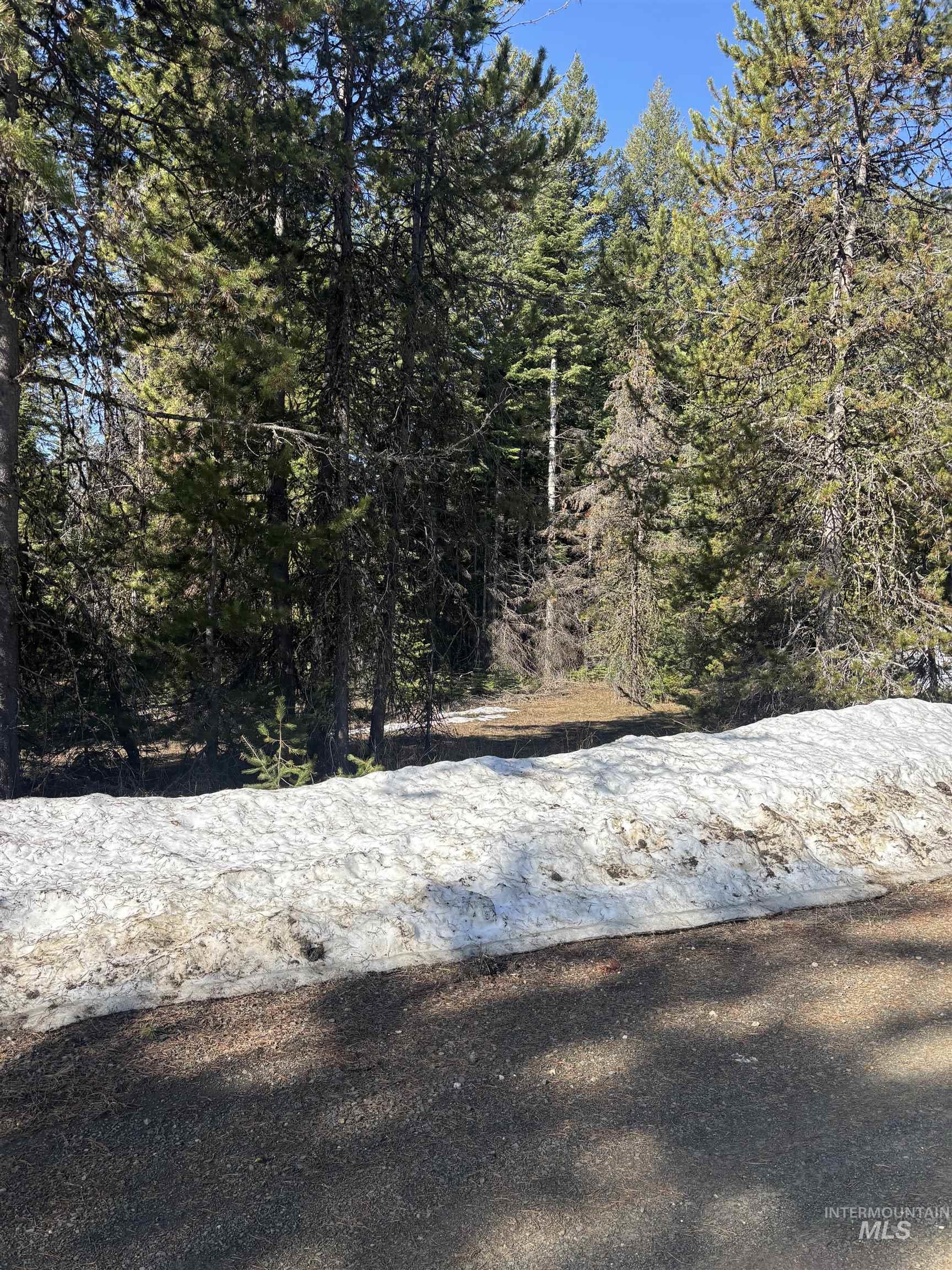 17 Royal Lane, Donnelly, Idaho 83615, Land For Sale, Price $406,999,MLS 98940090