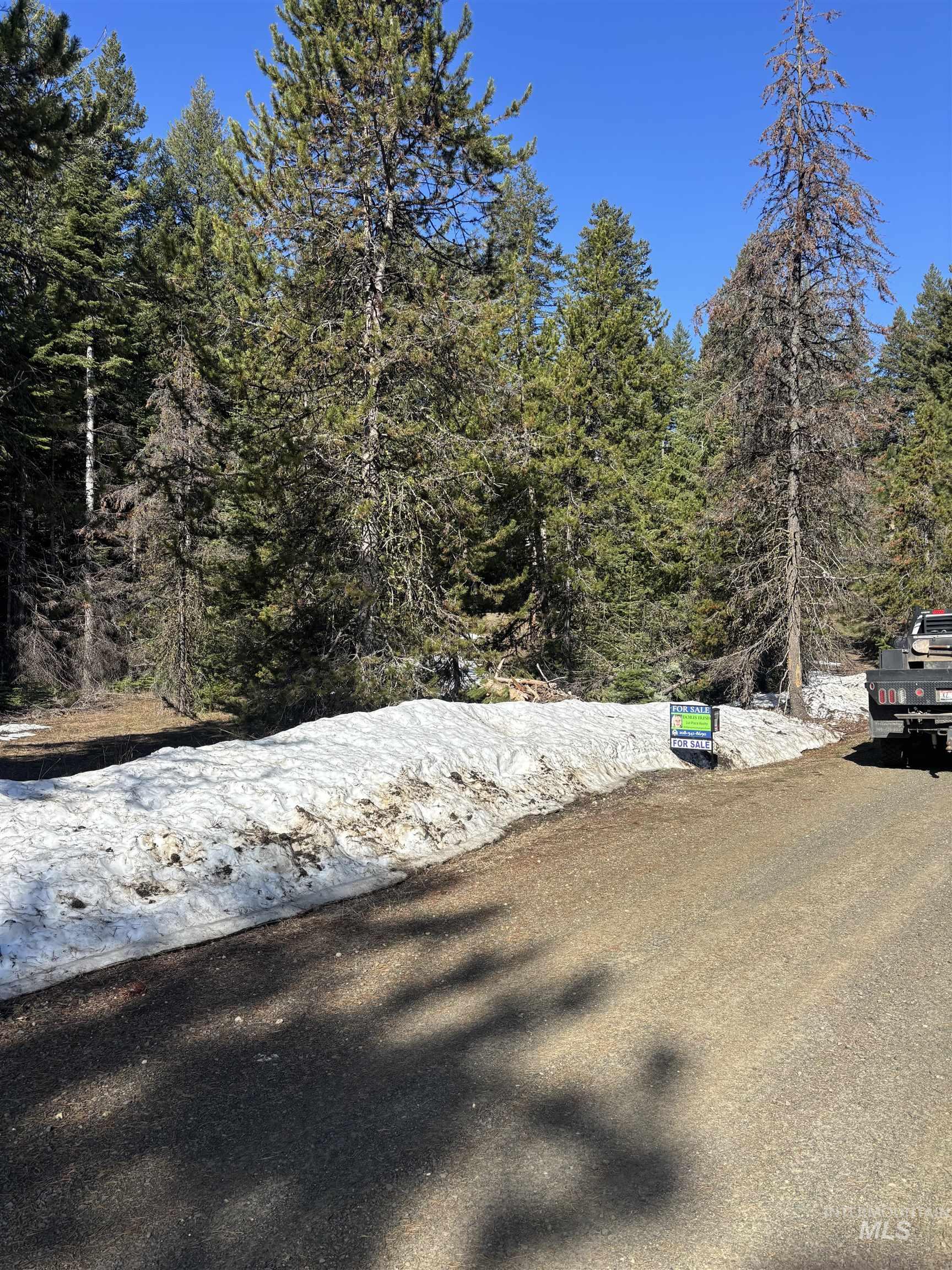 17 Royal Lane, Donnelly, Idaho 83615, Land For Sale, Price $406,999,MLS 98940090