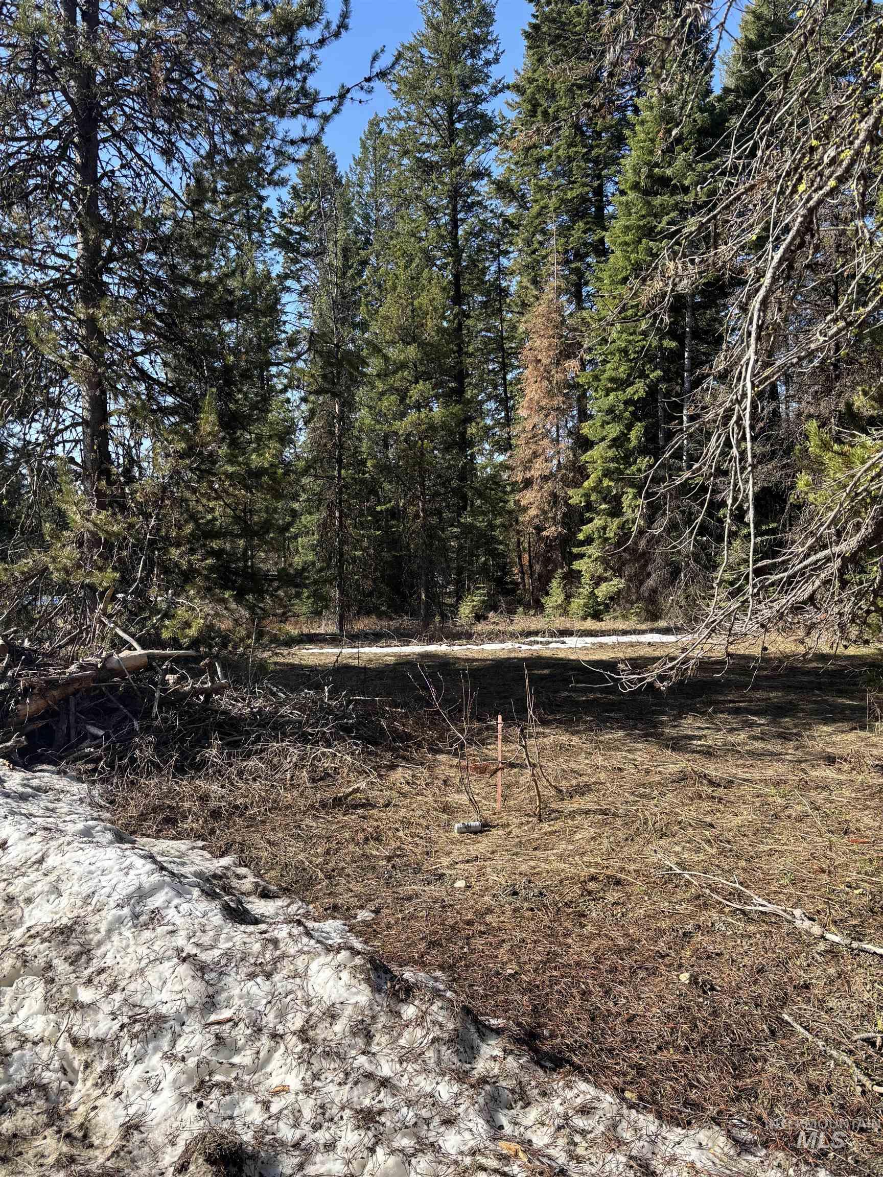 17 Royal Lane, Donnelly, Idaho 83615, Land For Sale, Price $406,999,MLS 98940090