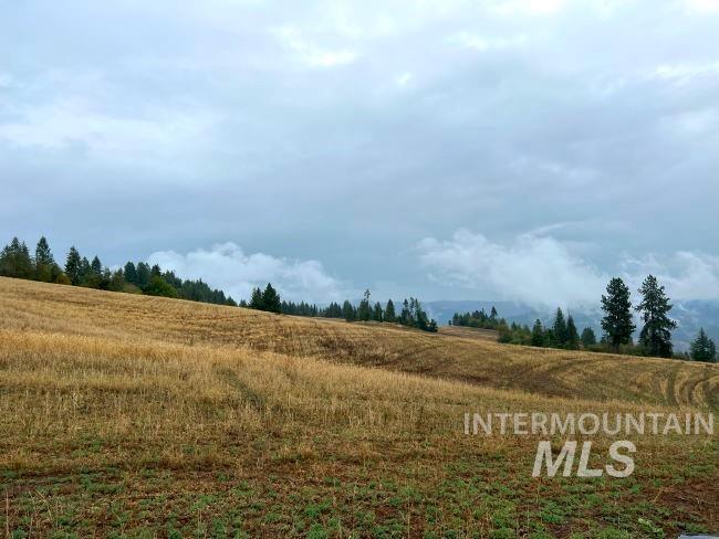 NKA 618acs Freeman Creek Rd, Lenore, Idaho 83541, Land For Sale, Price $5,600,000, 98940759
