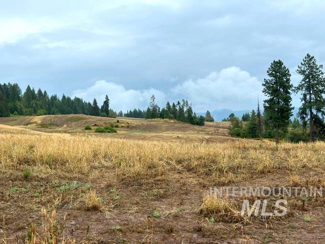NKA 618acs Freeman Creek Rd, Lenore, Idaho 83541, Land For Sale, Price $5,600,000, 98940759