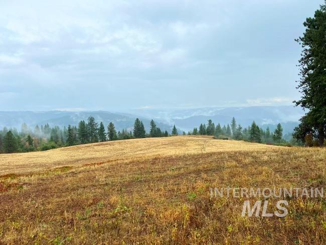 NKA 618acs Freeman Creek Rd, Lenore, Idaho 83541, Land For Sale, Price $5,600,000, 98940759