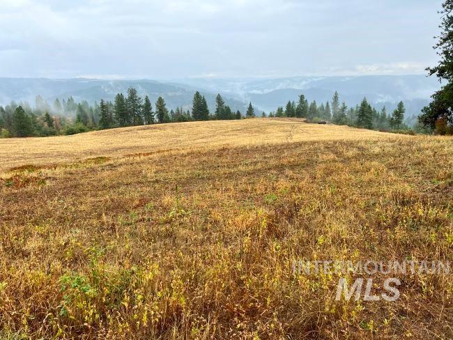NKA 618acs Freeman Creek Rd, Lenore, Idaho 83541, Land For Sale, Price $5,600,000, 98940759