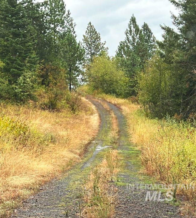 NKA 618acs Freeman Creek Rd, Lenore, Idaho 83541, Land For Sale, Price $5,600,000, 98940759