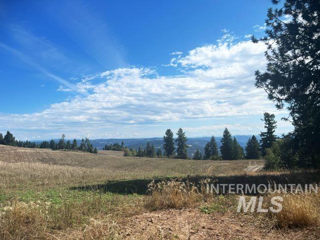 NKA 618acs Freeman Creek Rd, Lenore, Idaho 83541, Land For Sale, Price $5,600,000, 98940759