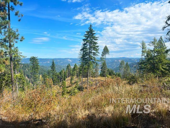 NKA 618acs Freeman Creek Rd, Lenore, Idaho 83541, Land For Sale, Price $5,600,000, 98940759