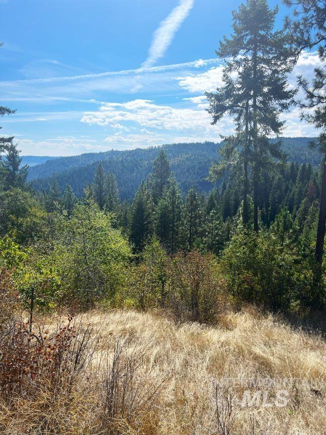 NKA 618acs Freeman Creek Rd, Lenore, Idaho 83541, Land For Sale, Price $5,600,000, 98940759