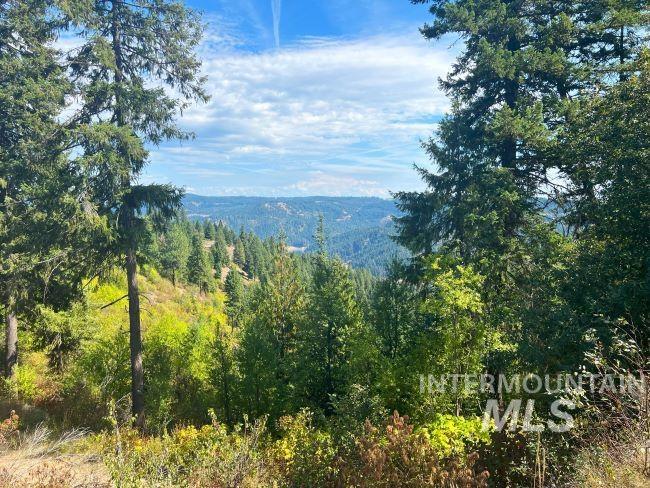 NKA 618acs Freeman Creek Rd, Lenore, Idaho 83541, Land For Sale, Price $5,600,000, 98940759