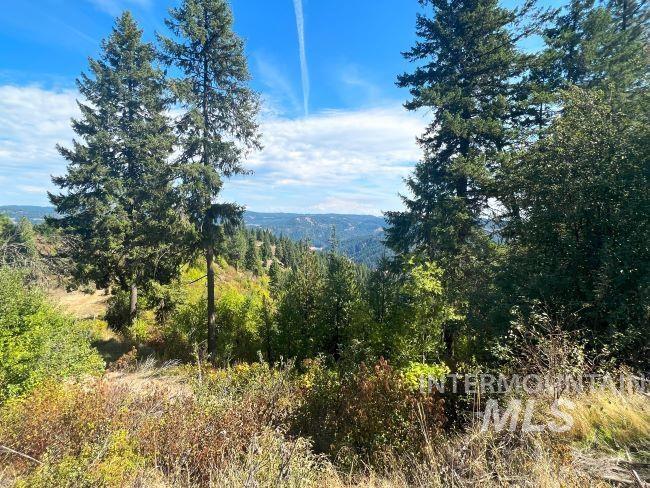 NKA 618acs Freeman Creek Rd, Lenore, Idaho 83541, Land For Sale, Price $5,600,000, 98940759