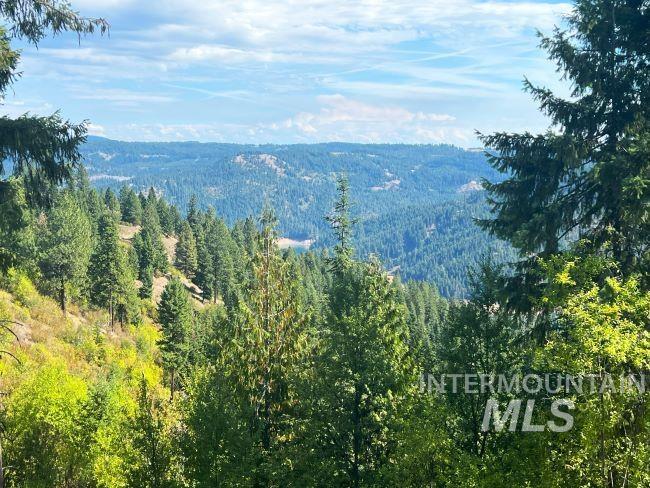 NKA 618acs Freeman Creek Rd, Lenore, Idaho 83541, Land For Sale, Price $5,600,000, 98940759
