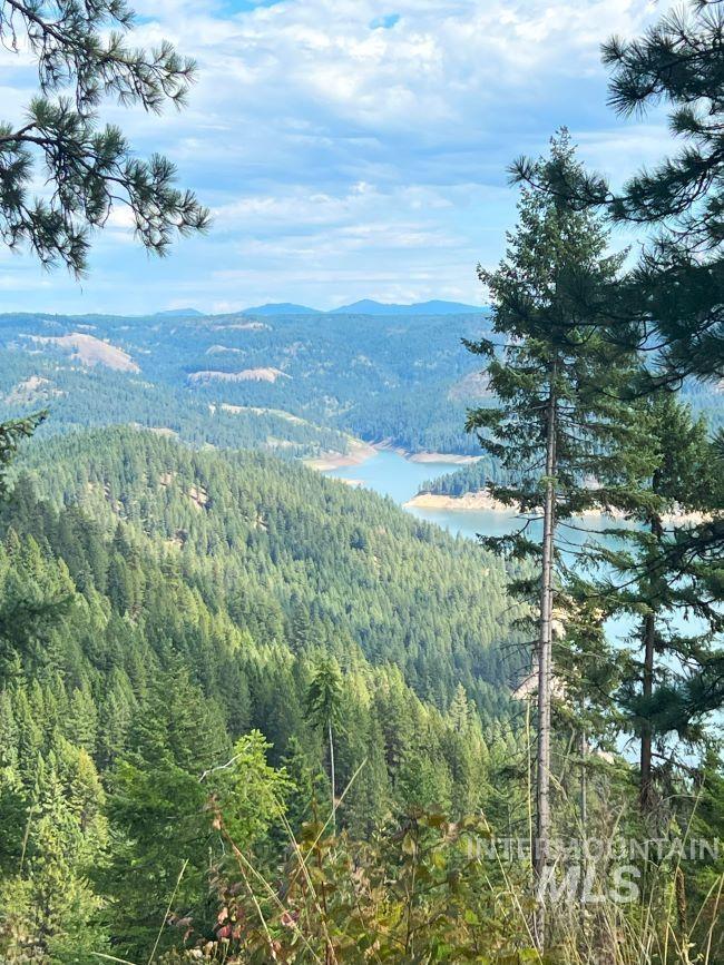 NKA 618acs Freeman Creek Rd, Lenore, Idaho 83541, Land For Sale, Price $5,600,000, 98940759