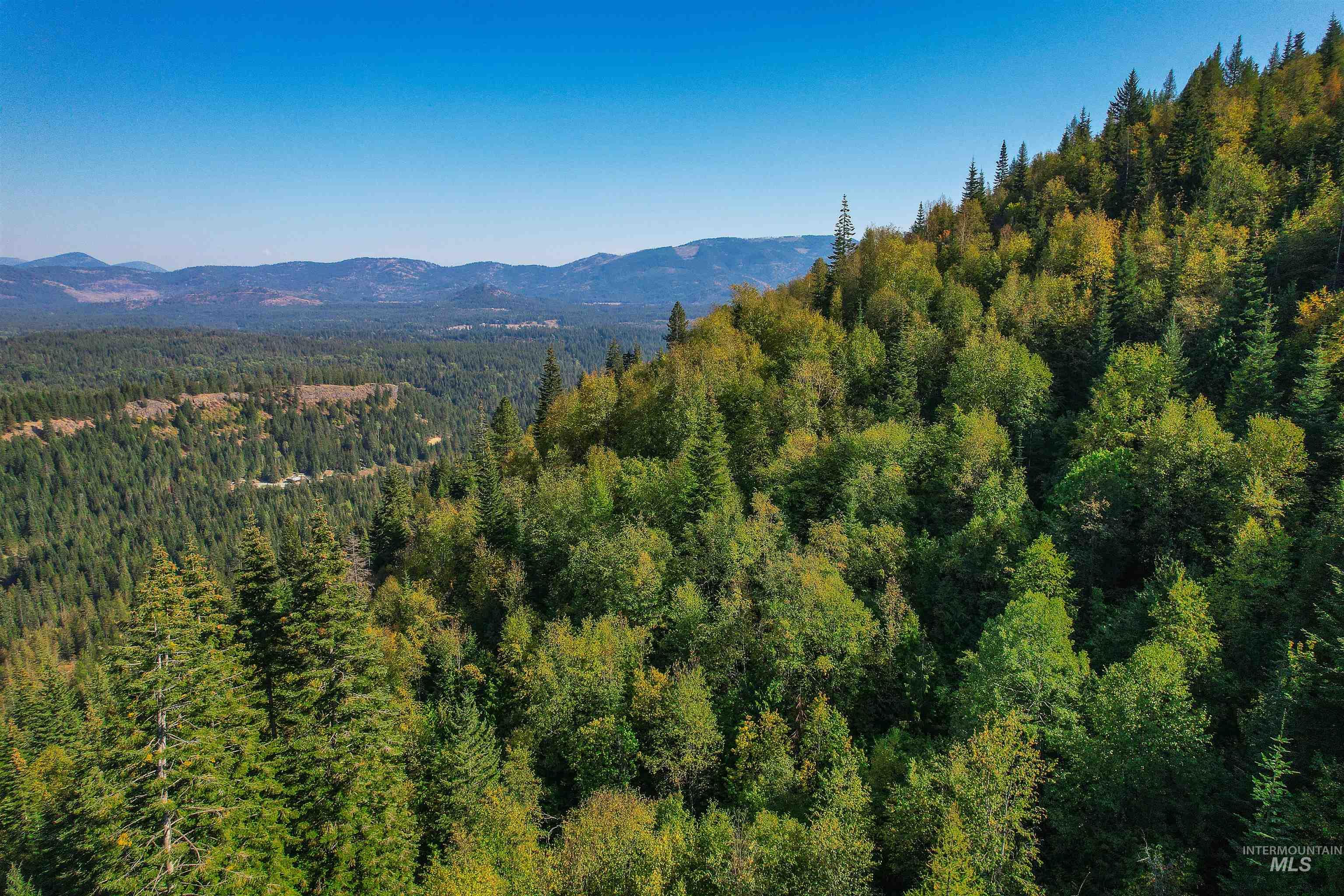 NKA Bodie Canyon Rd, Priest River, Idaho 83856, Land For Sale, Price $175,000, 98940919