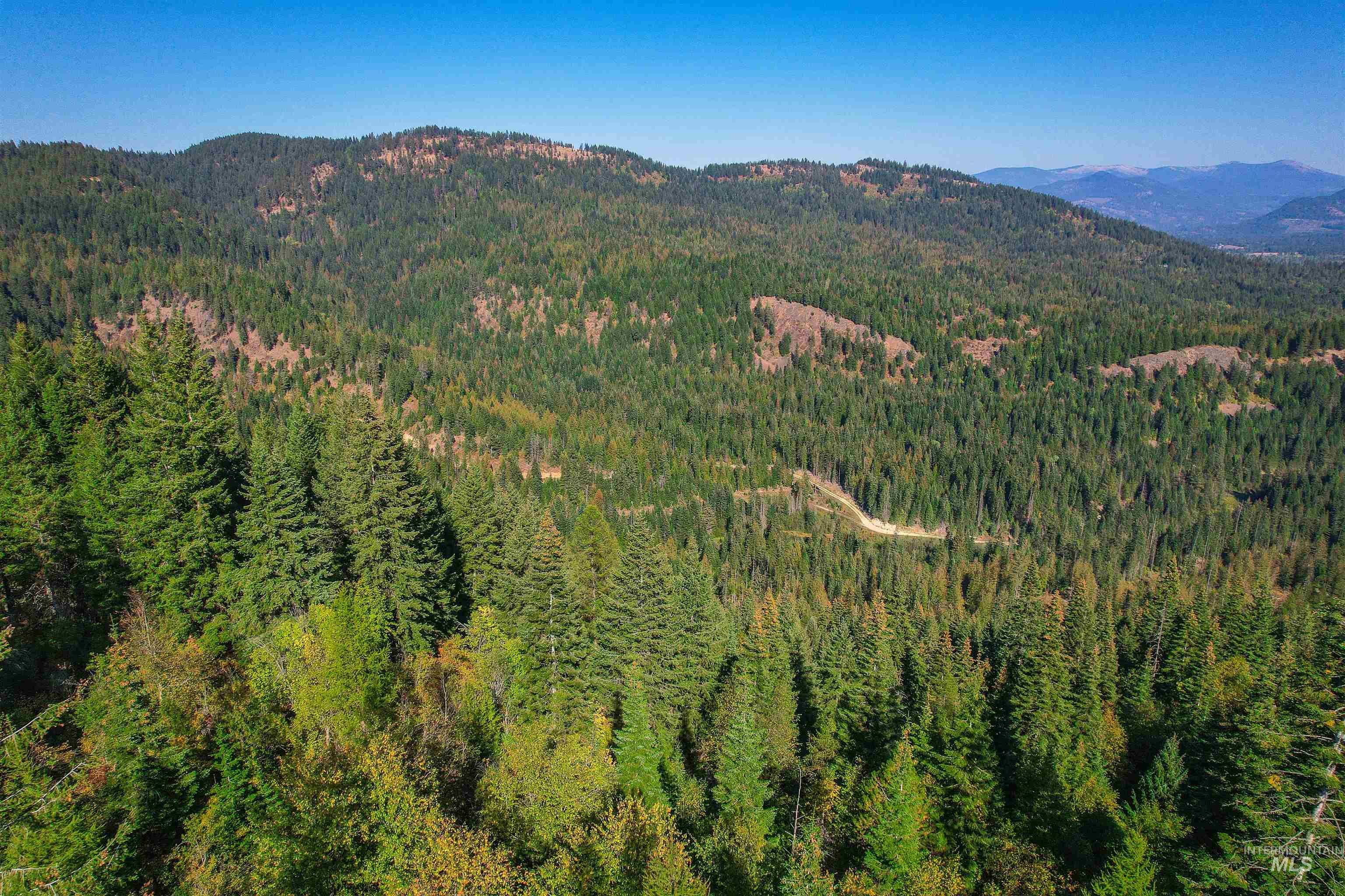 NKA Bodie Canyon Rd, Priest River, Idaho 83856, Land For Sale, Price $175,000, 98940919