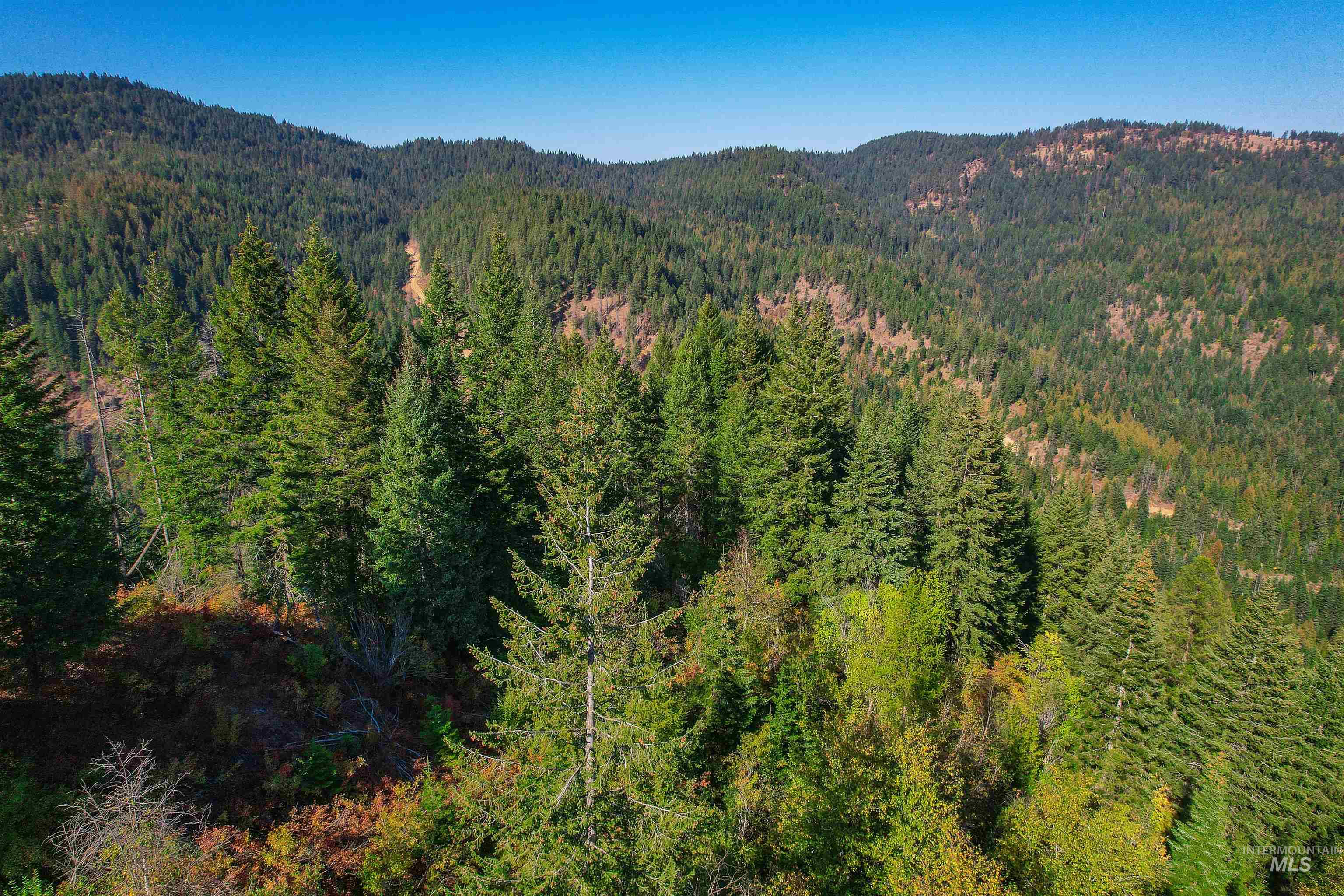 NKA Bodie Canyon Rd, Priest River, Idaho 83856, Land For Sale, Price $175,000, 98940919
