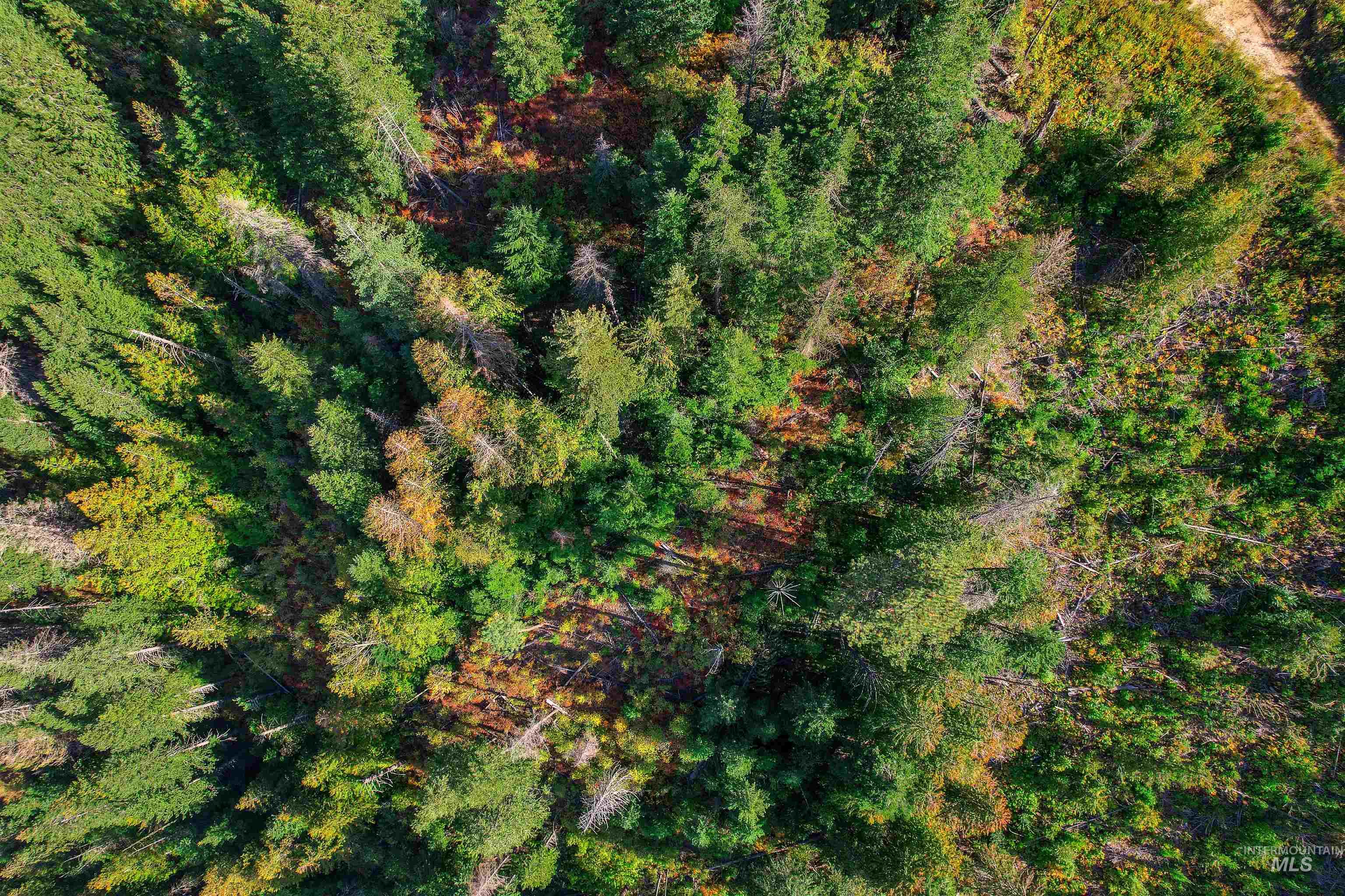 NKA Bodie Canyon Rd, Priest River, Idaho 83856, Land For Sale, Price $175,000, 98940919