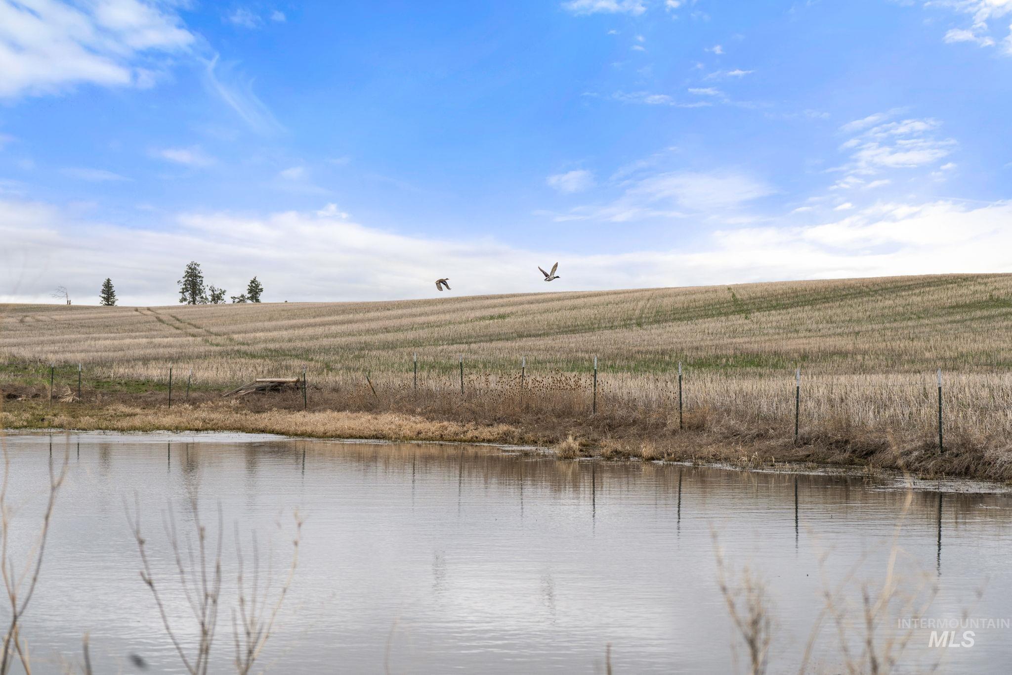 2326 Reubens Road, Reubens, Idaho 83548, Land For Sale, Price $1,299,999, 98941075