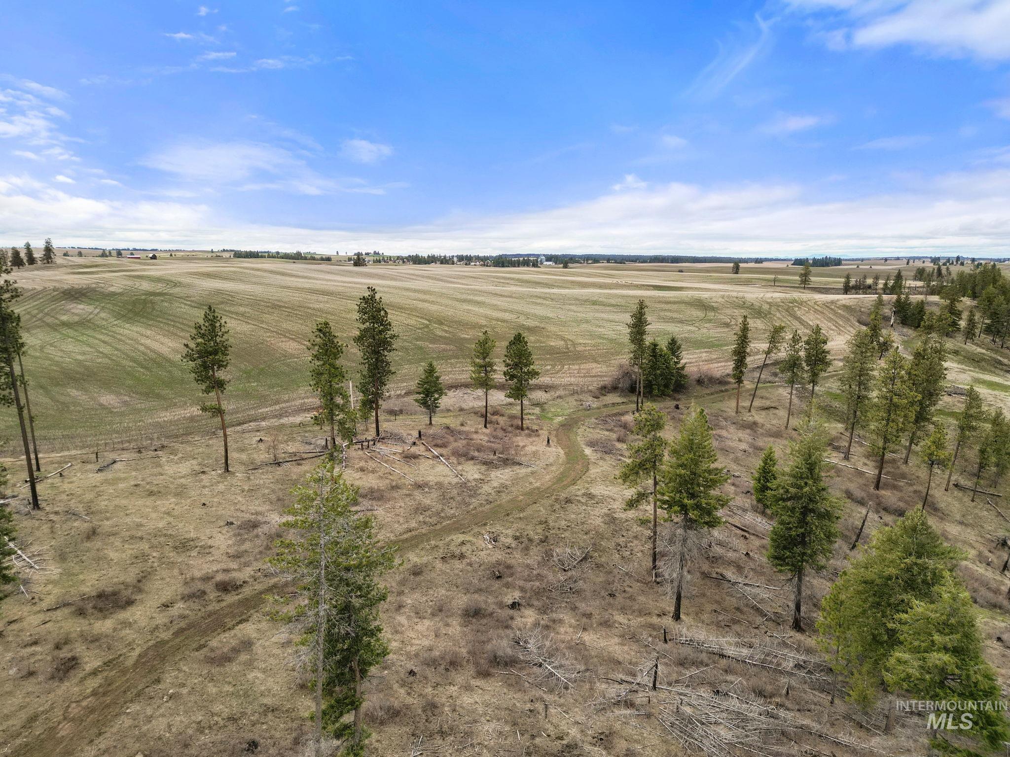 2326 Reubens Road, Reubens, Idaho 83548, Land For Sale, Price $1,299,999, 98941075
