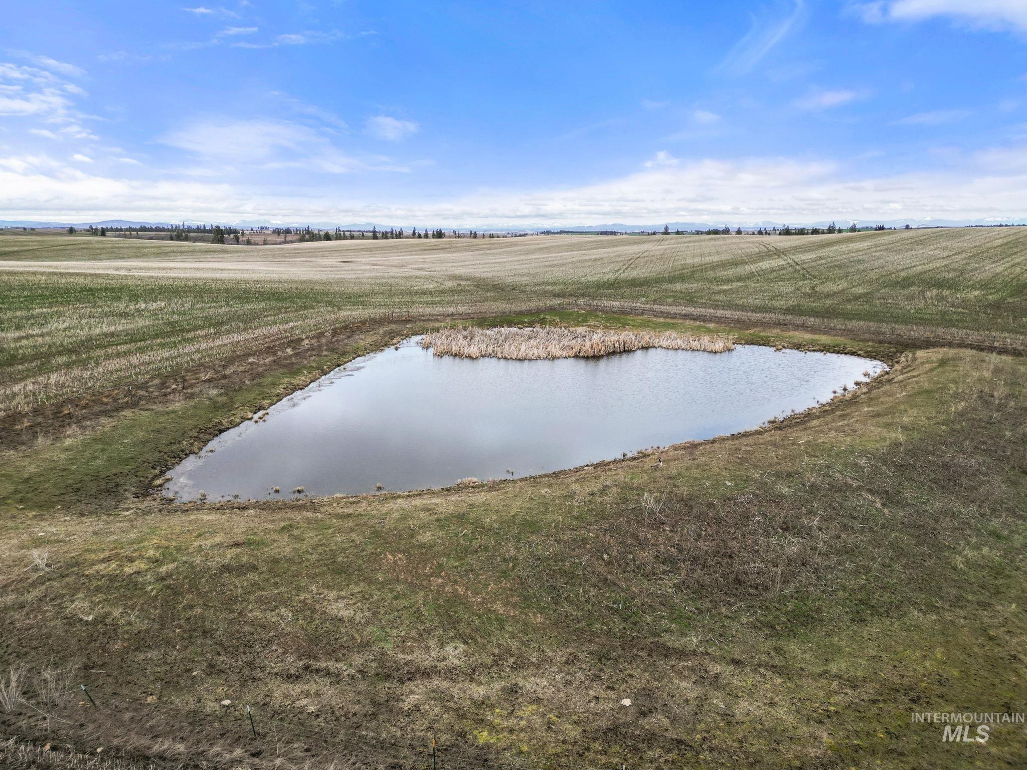 2326 Reubens Road, Reubens, Idaho 83548, Land For Sale, Price $1,299,999, 98941075